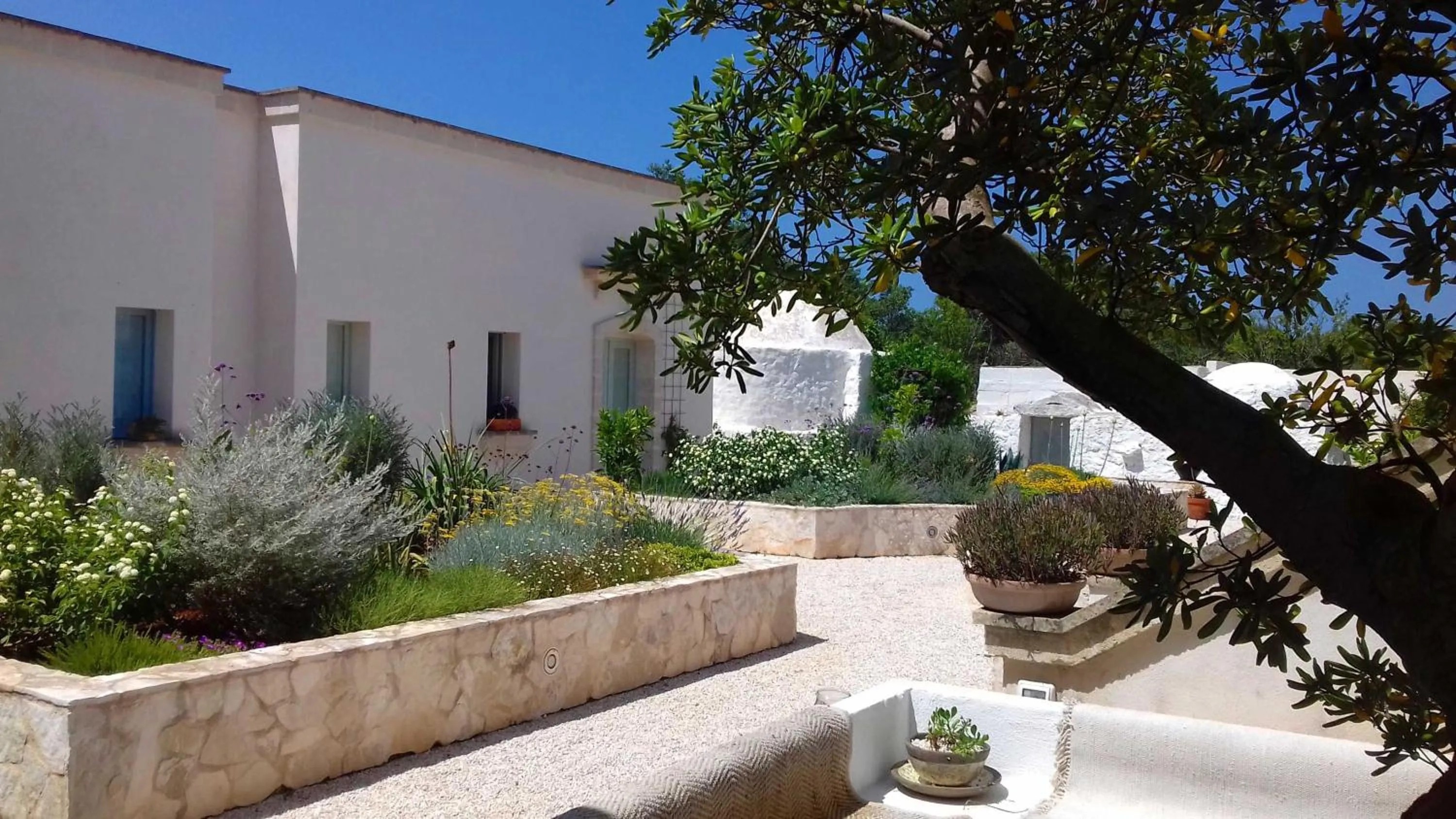 Garden view in The Proud Garden