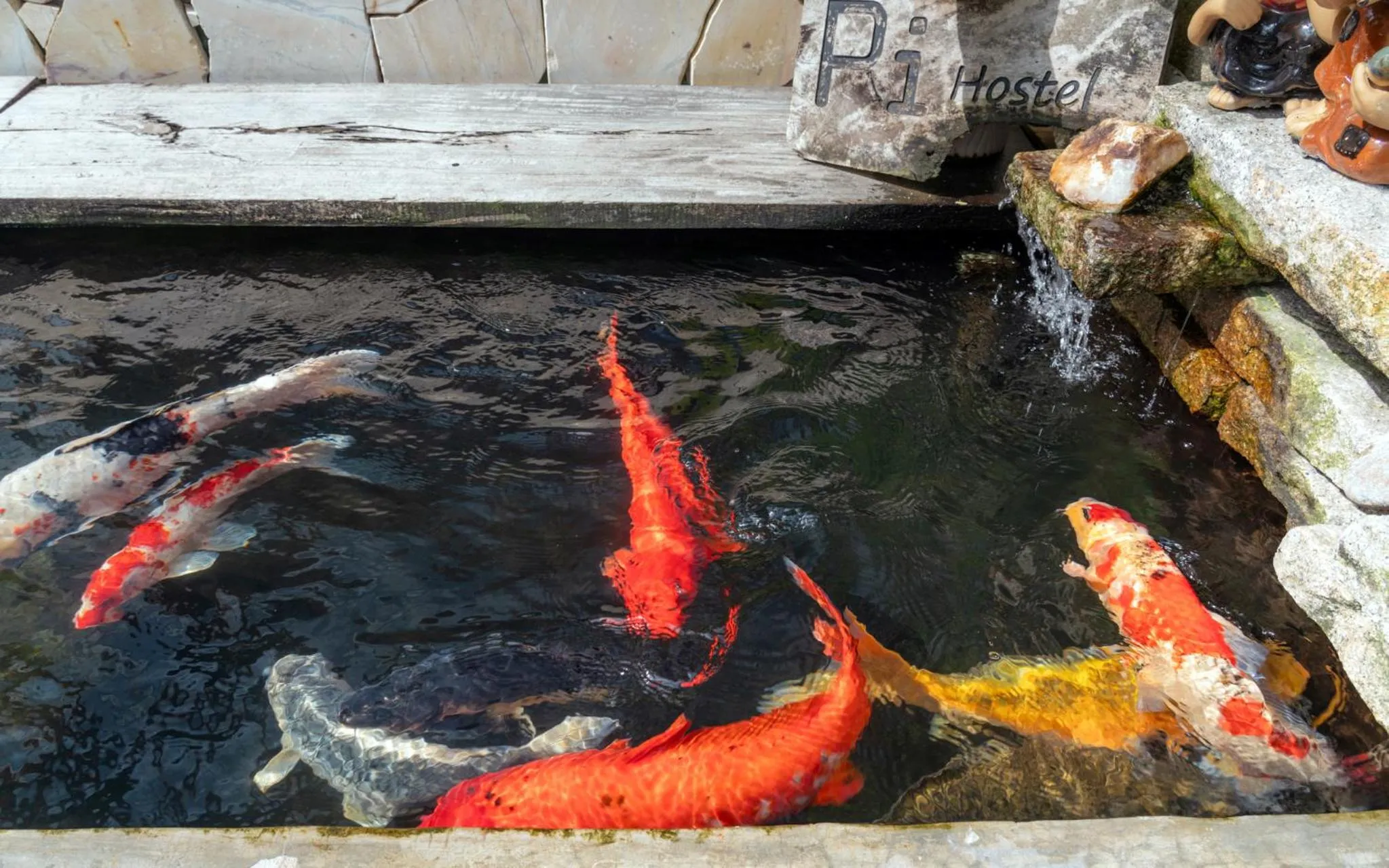 Animals in Pi Boutique Hotel