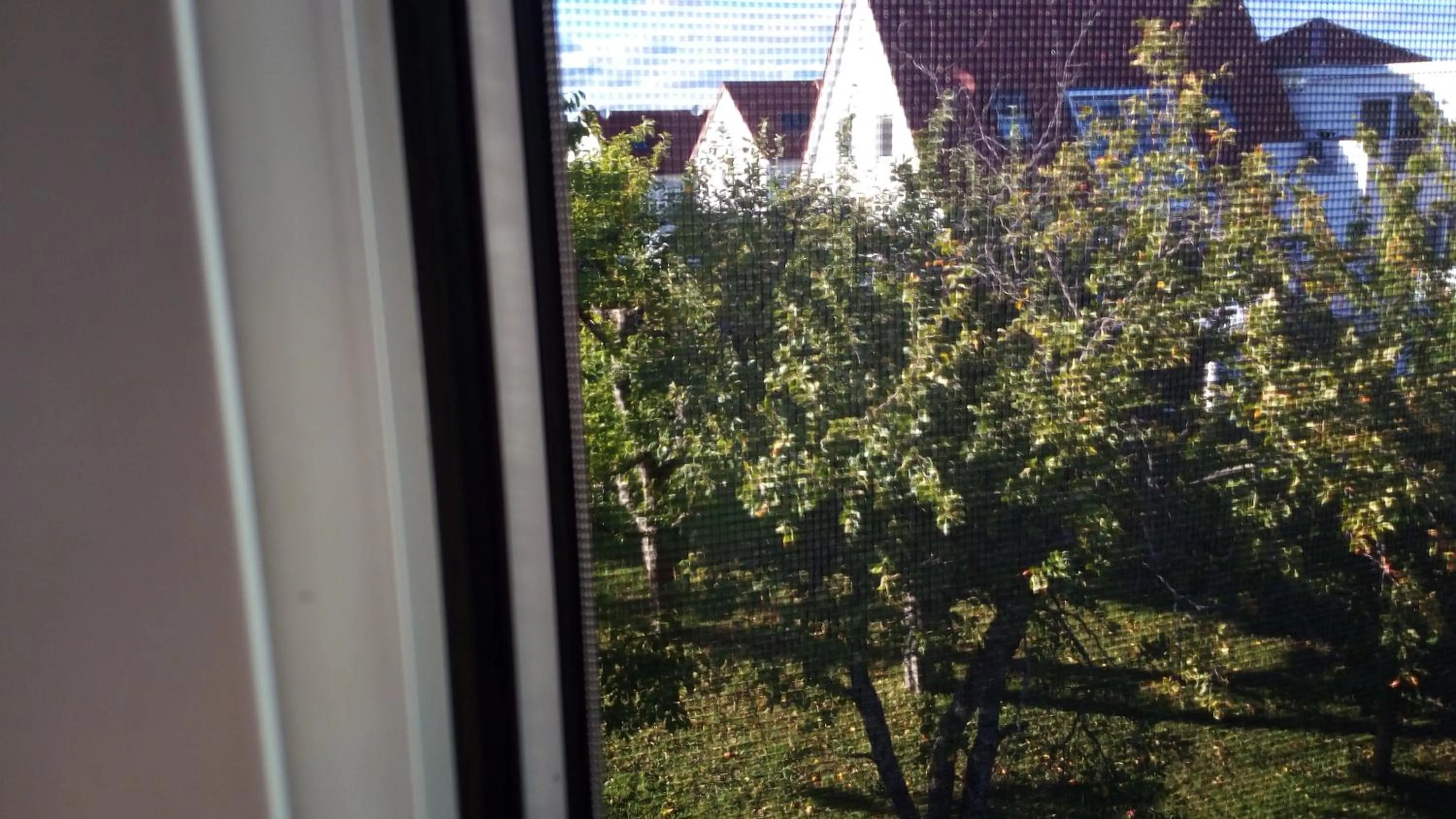 View (from property/room) in Komfort Apartment 1 DG Jürgen Kunzi