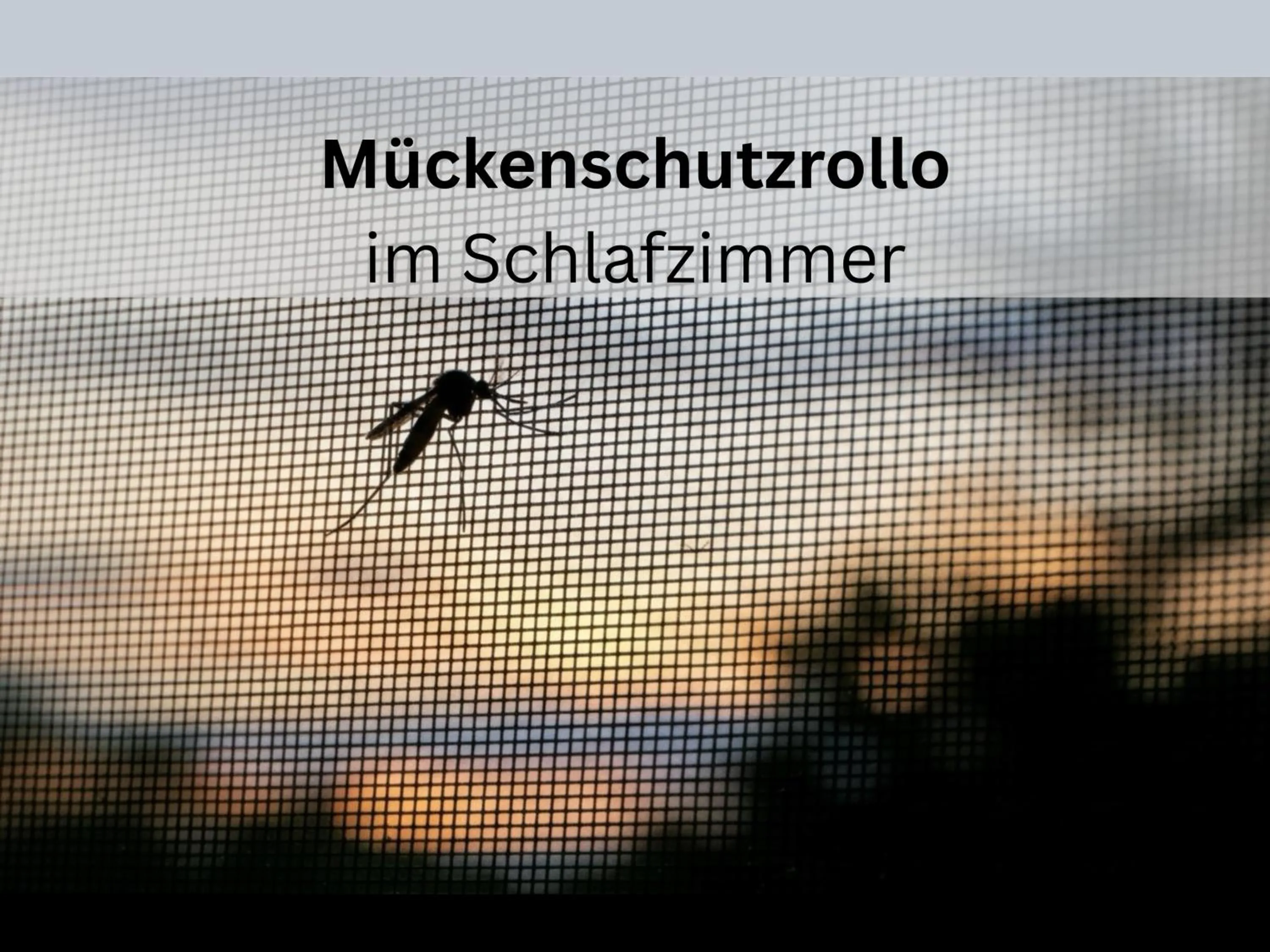 Decorative detail in Design-Apartments by Ulrike Horster