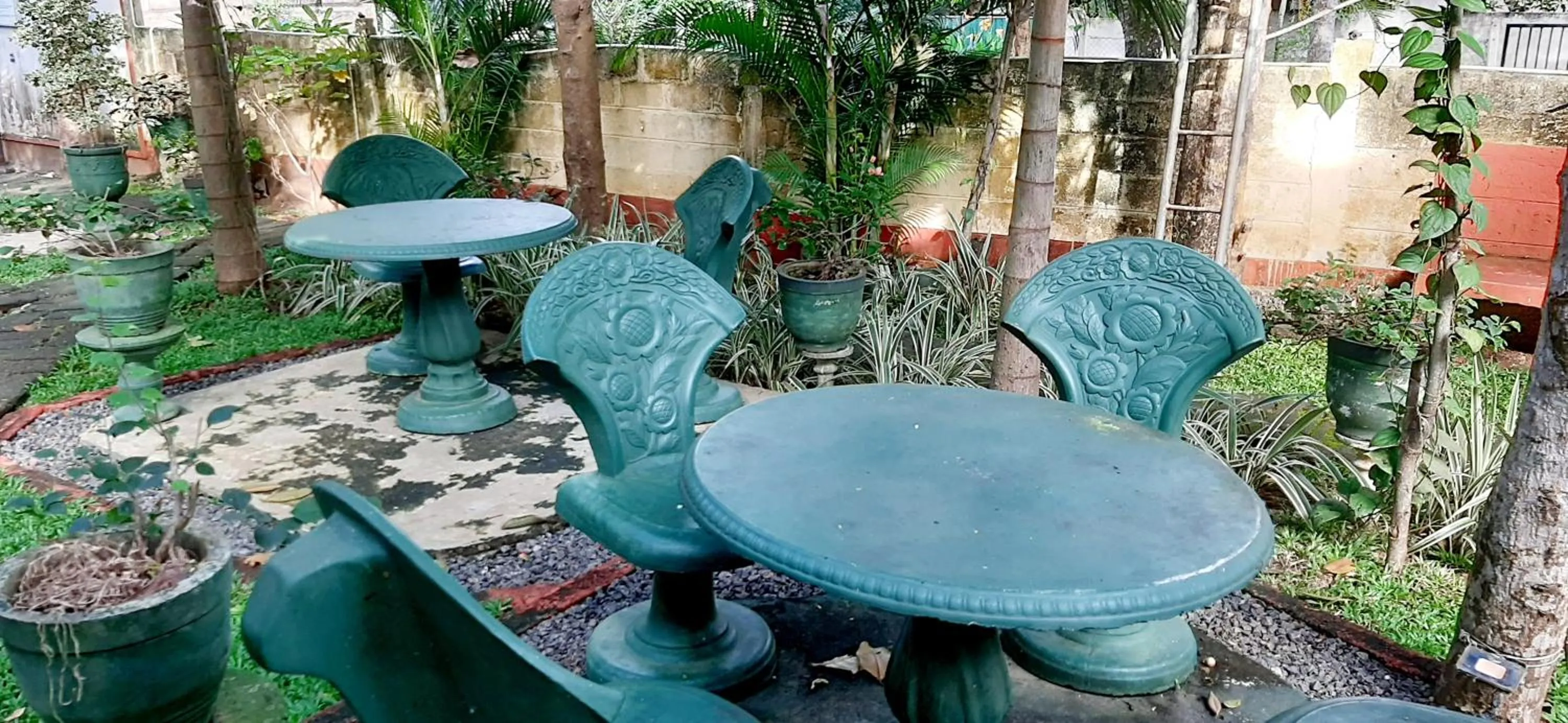 Garden in Hiriketiya Cinnamon Garden