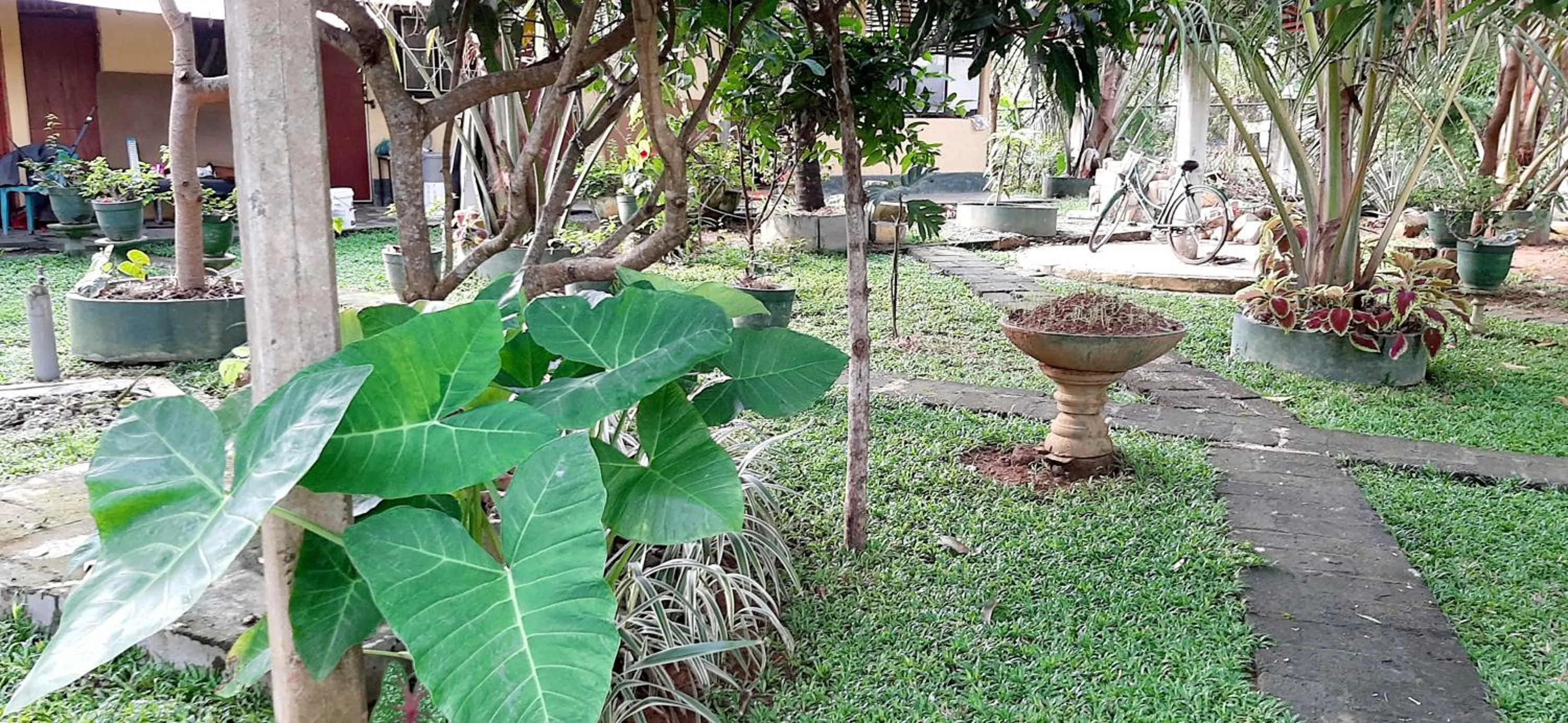 Hiriketiya Cinnamon Garden