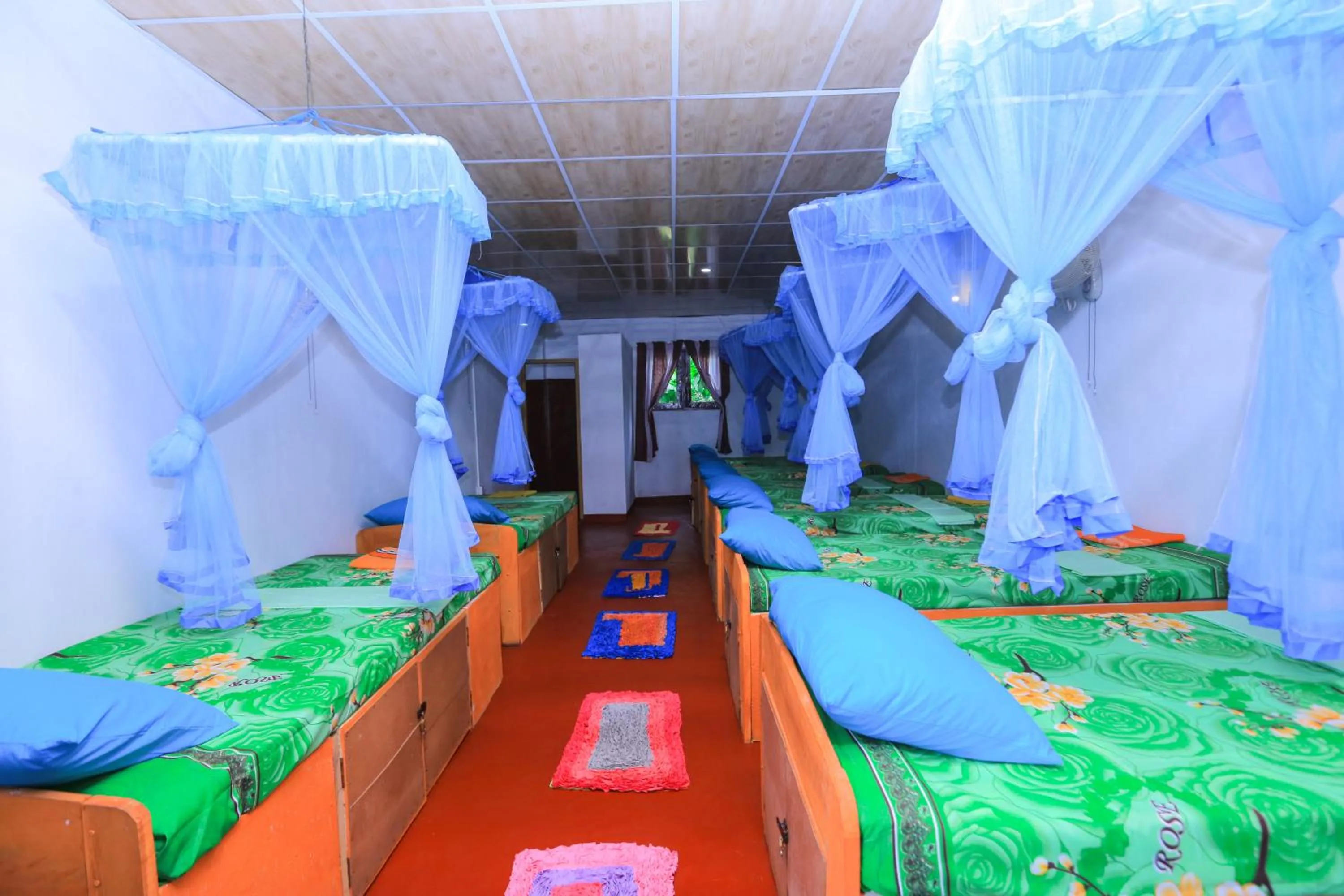 bunk bed in Hiriketiya Cinnamon Garden