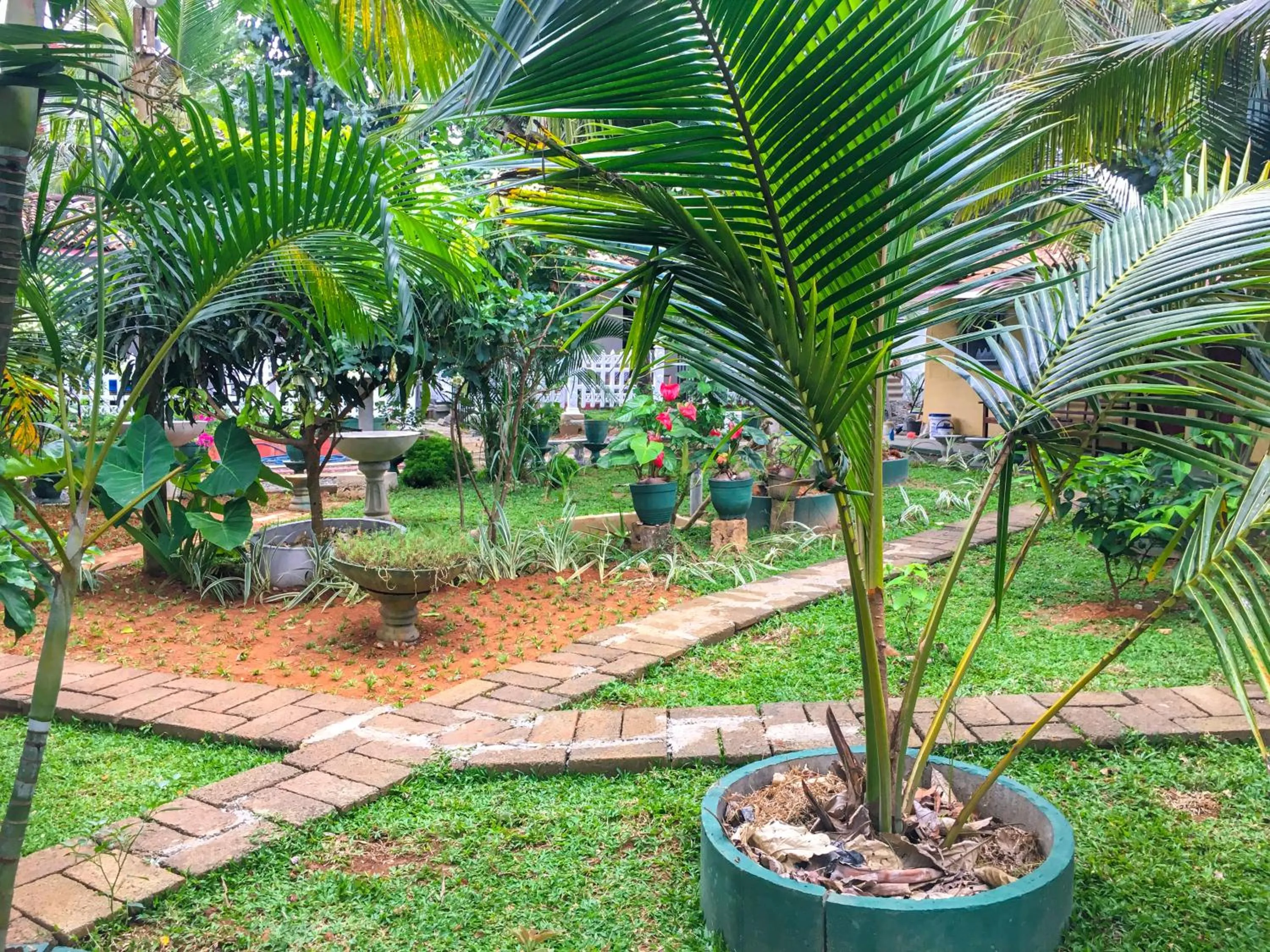 Hiriketiya Cinnamon Garden