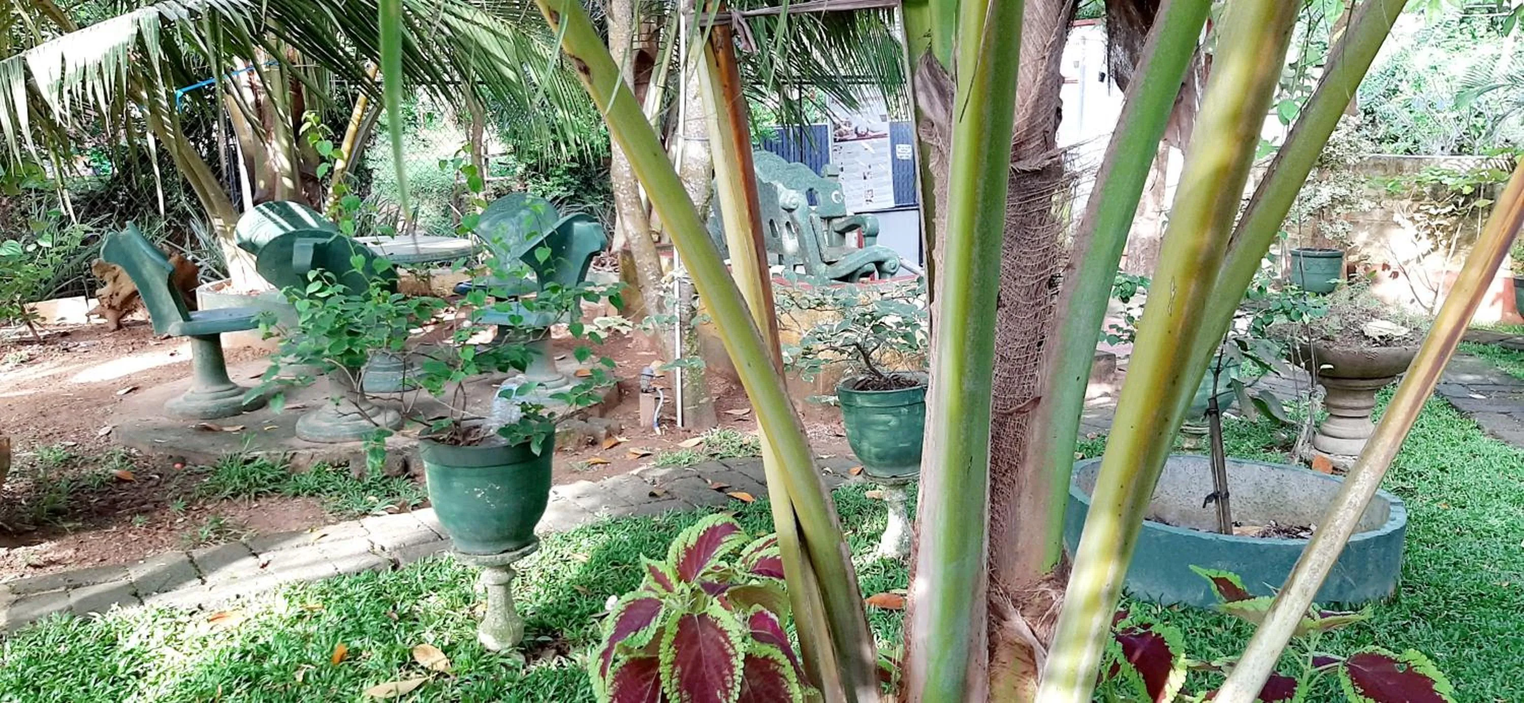 Hiriketiya Cinnamon Garden