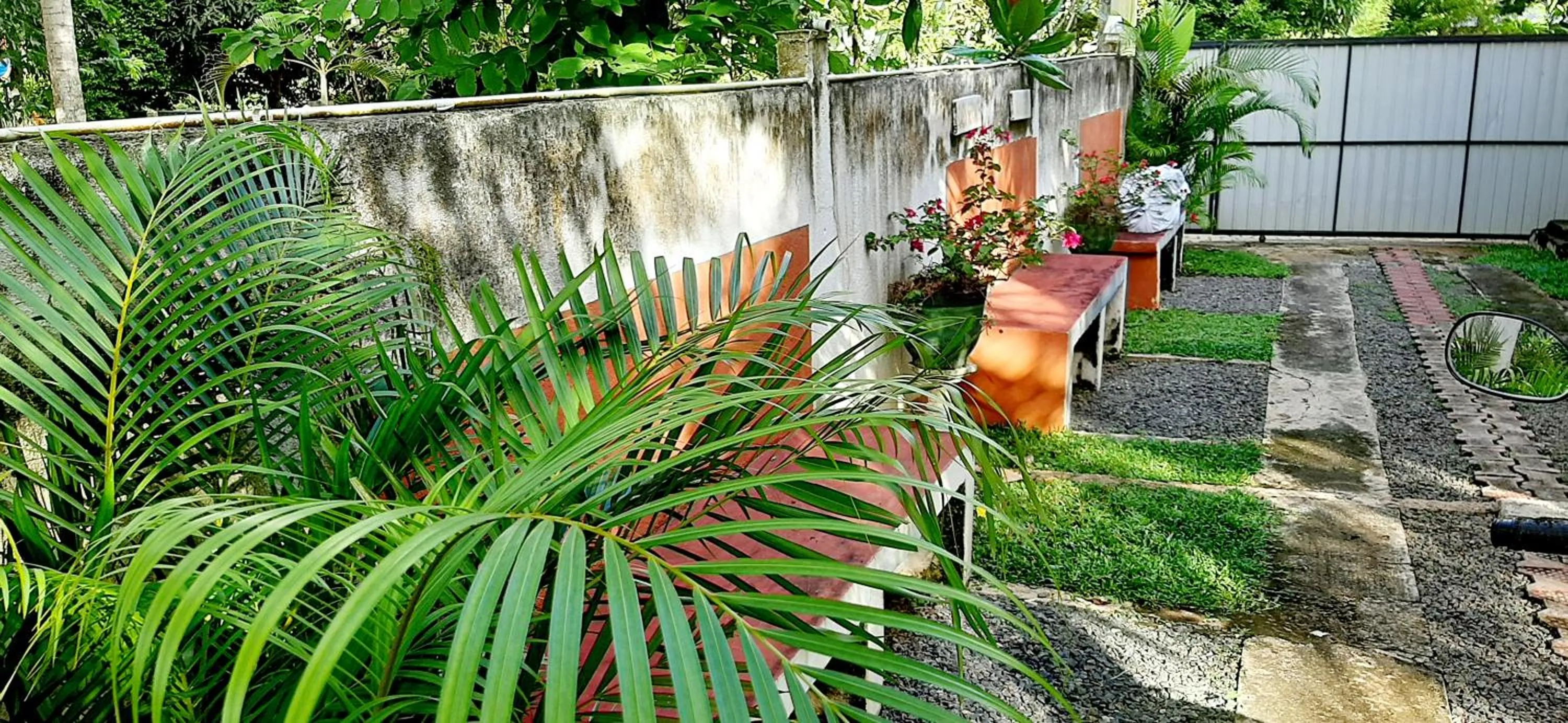 Garden in Hiriketiya Cinnamon Garden
