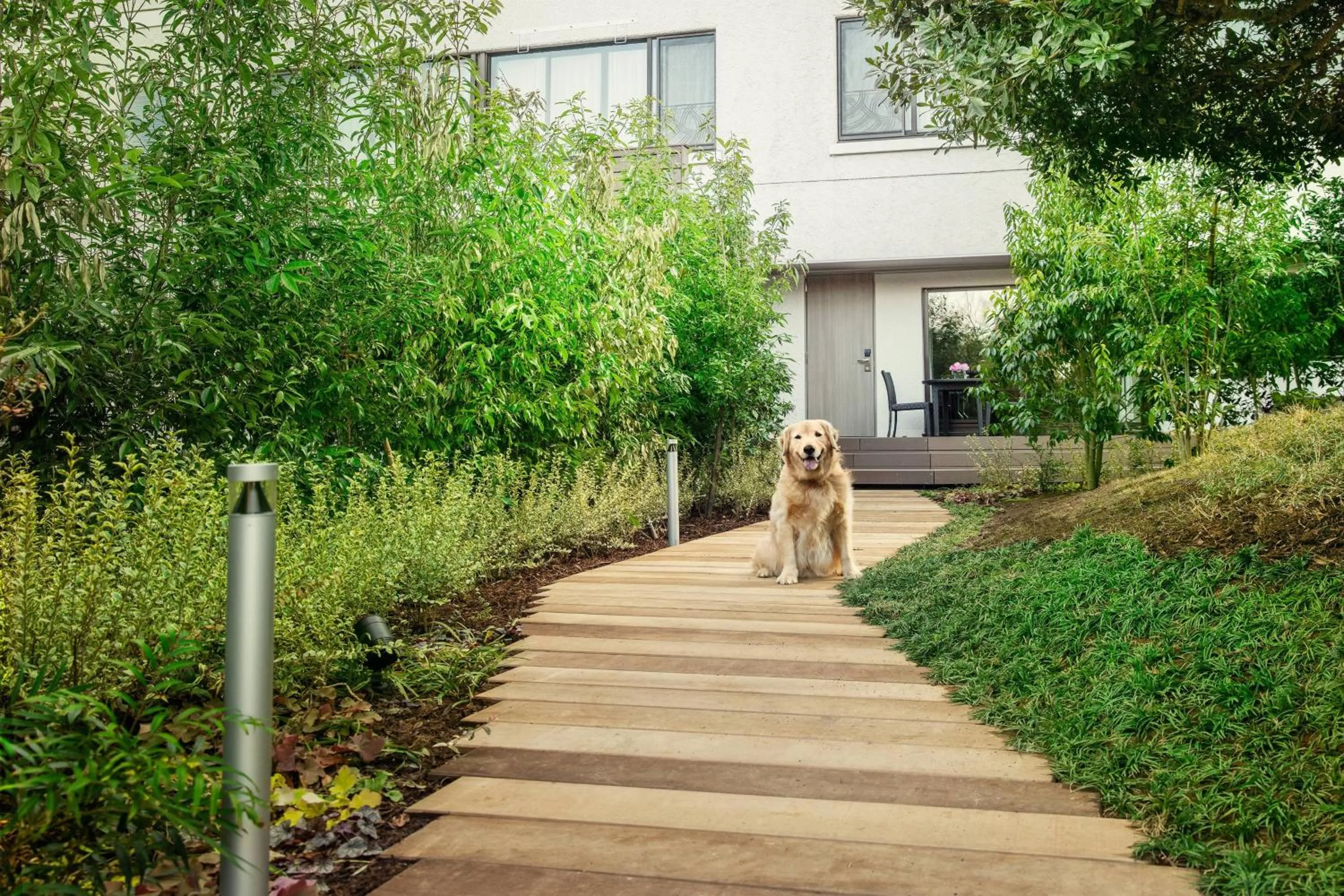 Photo of the whole room in Izu Marriott Hotel Shuzenji