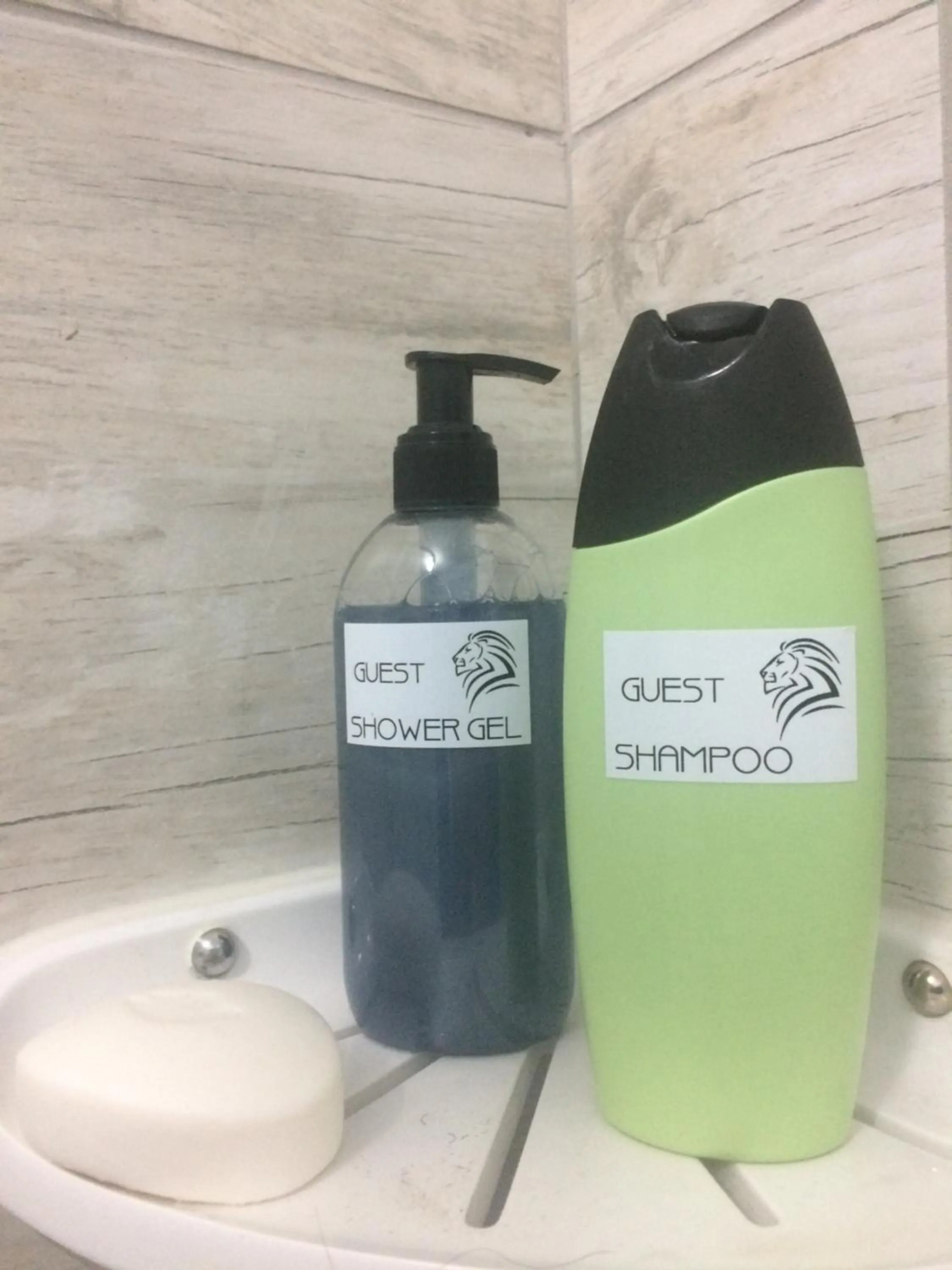 Bathroom in Leo's Den