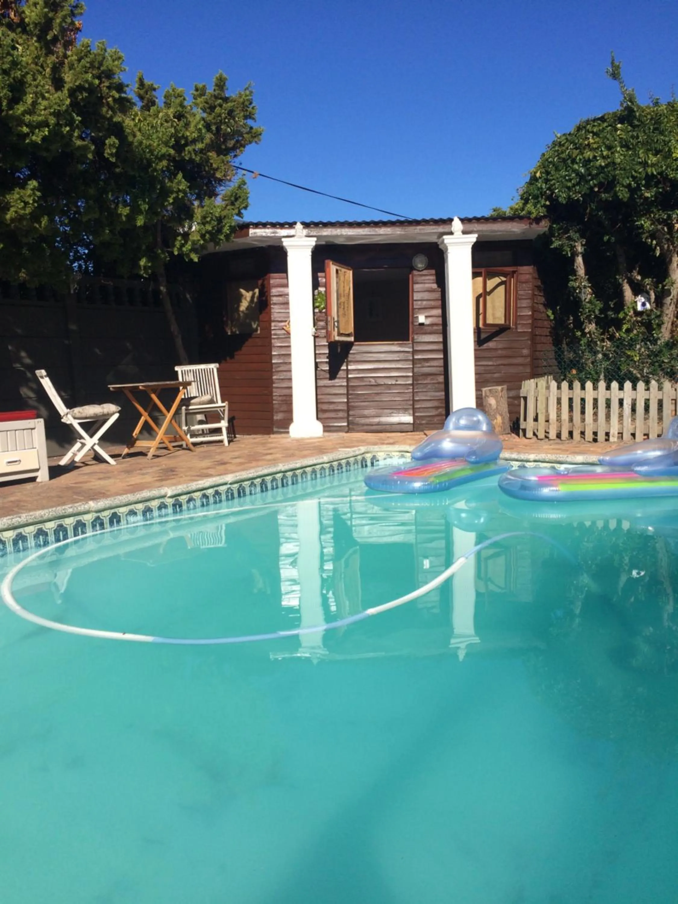 Pool view in Leo's Den