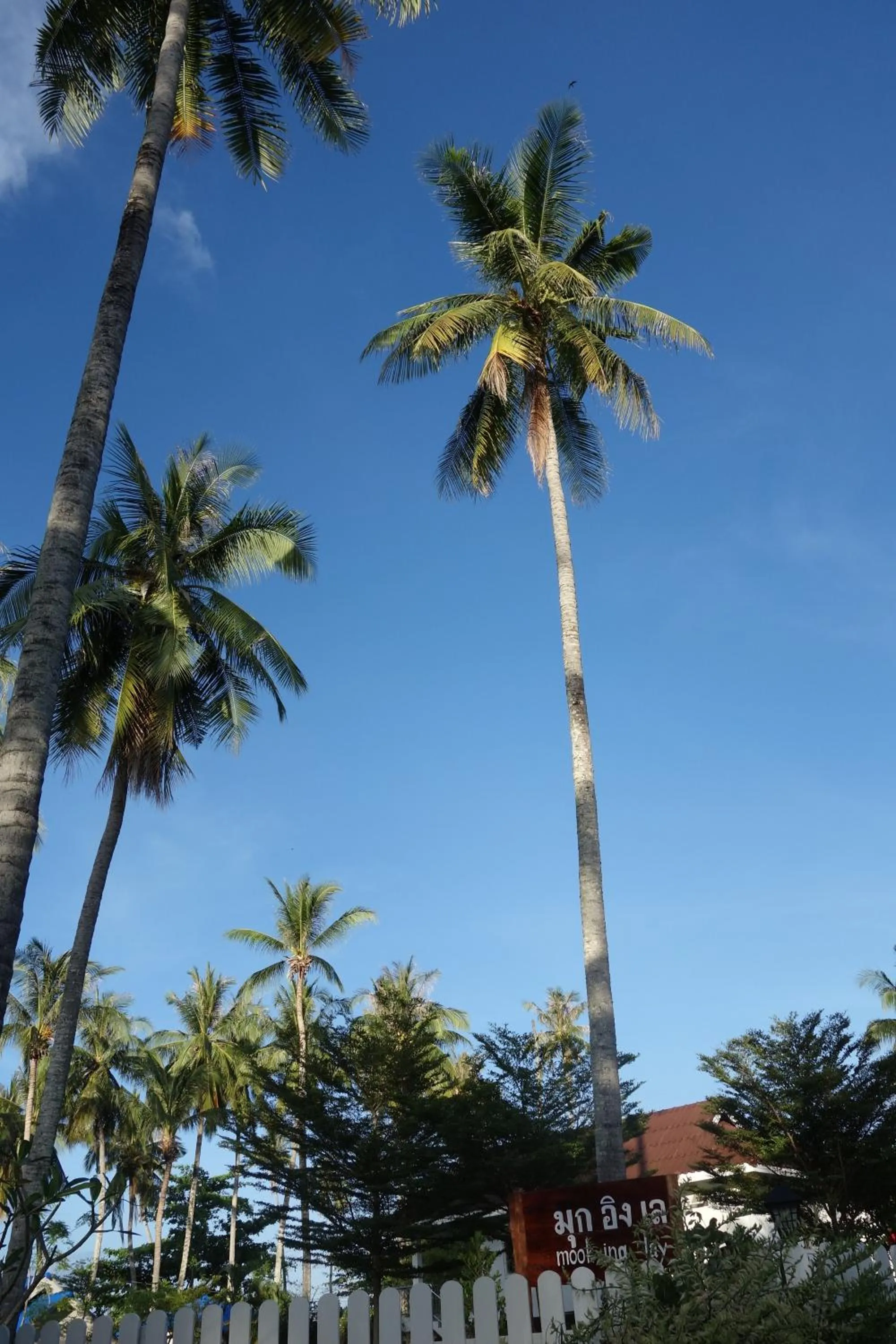 Natural landscape in Mook Ing Lay