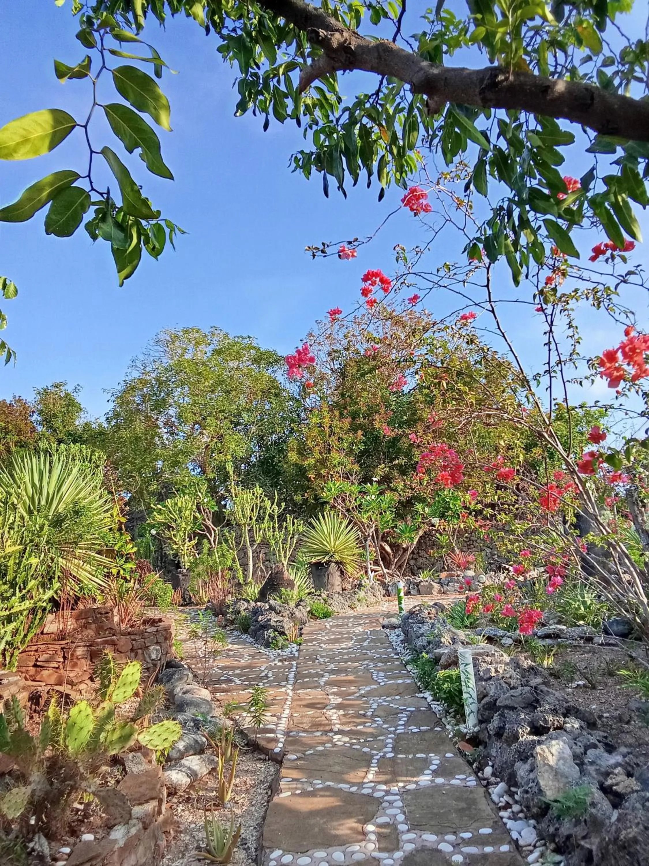 Garden in Utopia Rote Lodge