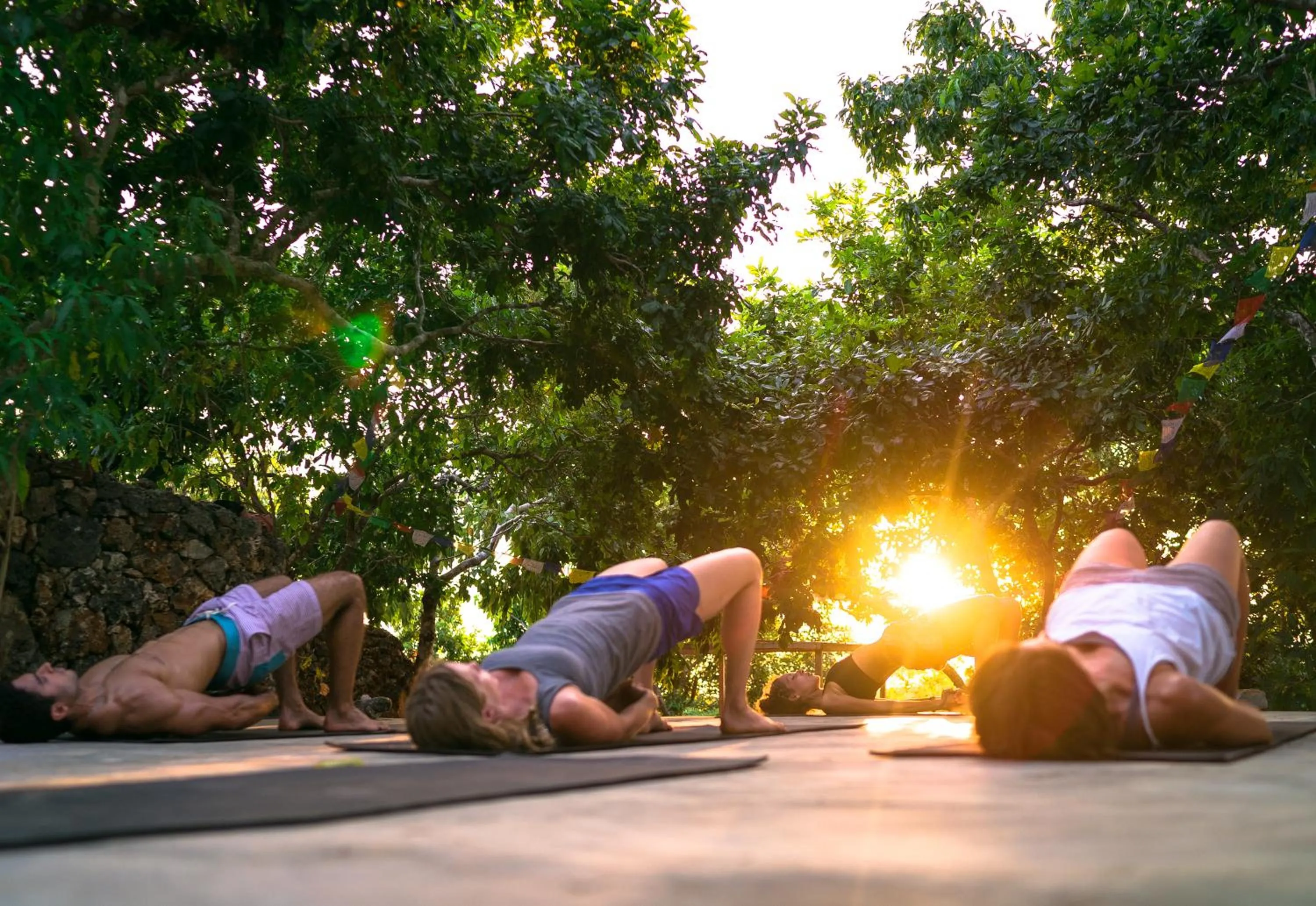 Fitness centre/facilities in Utopia Rote Lodge