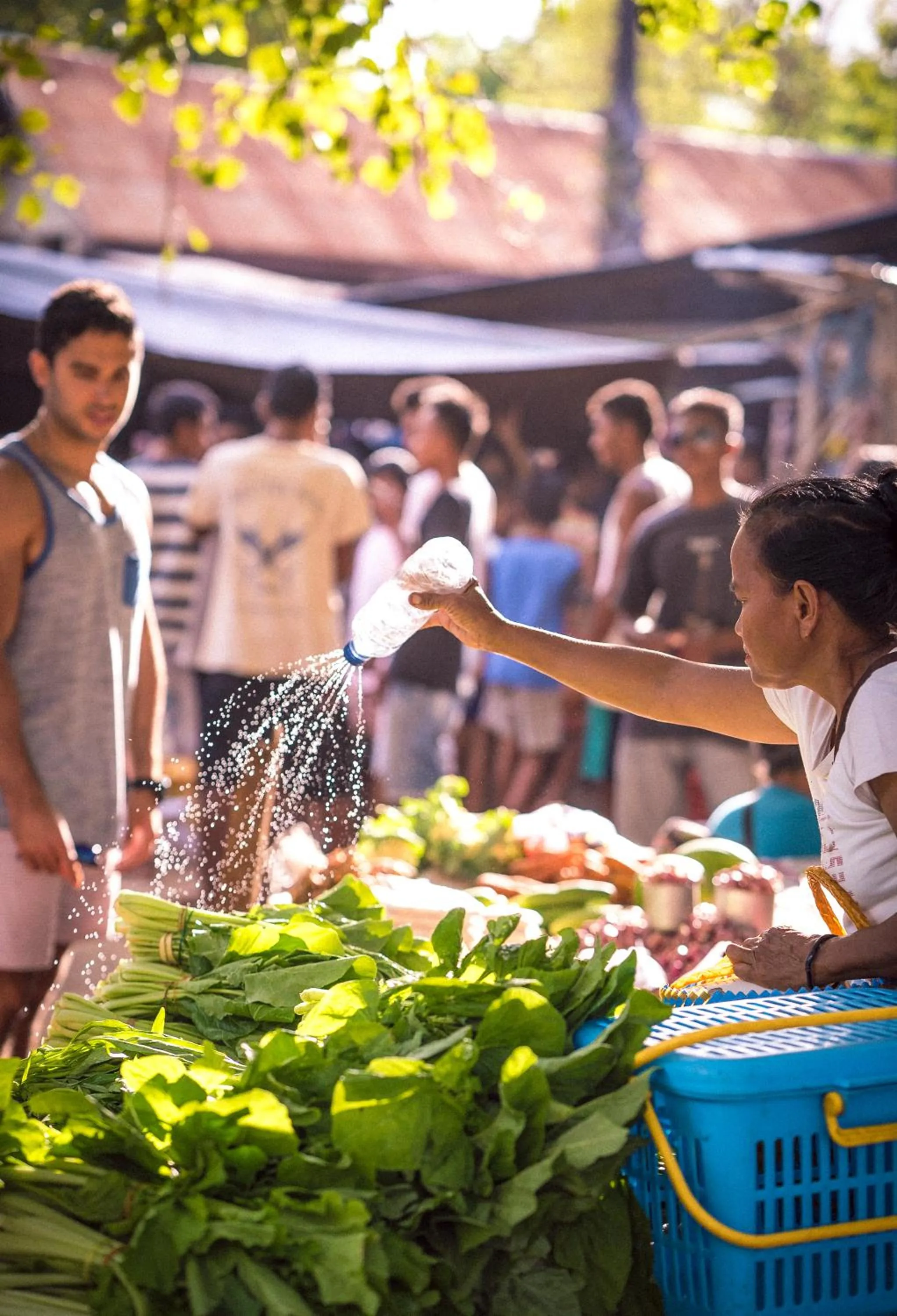 Activities in Utopia Rote Lodge
