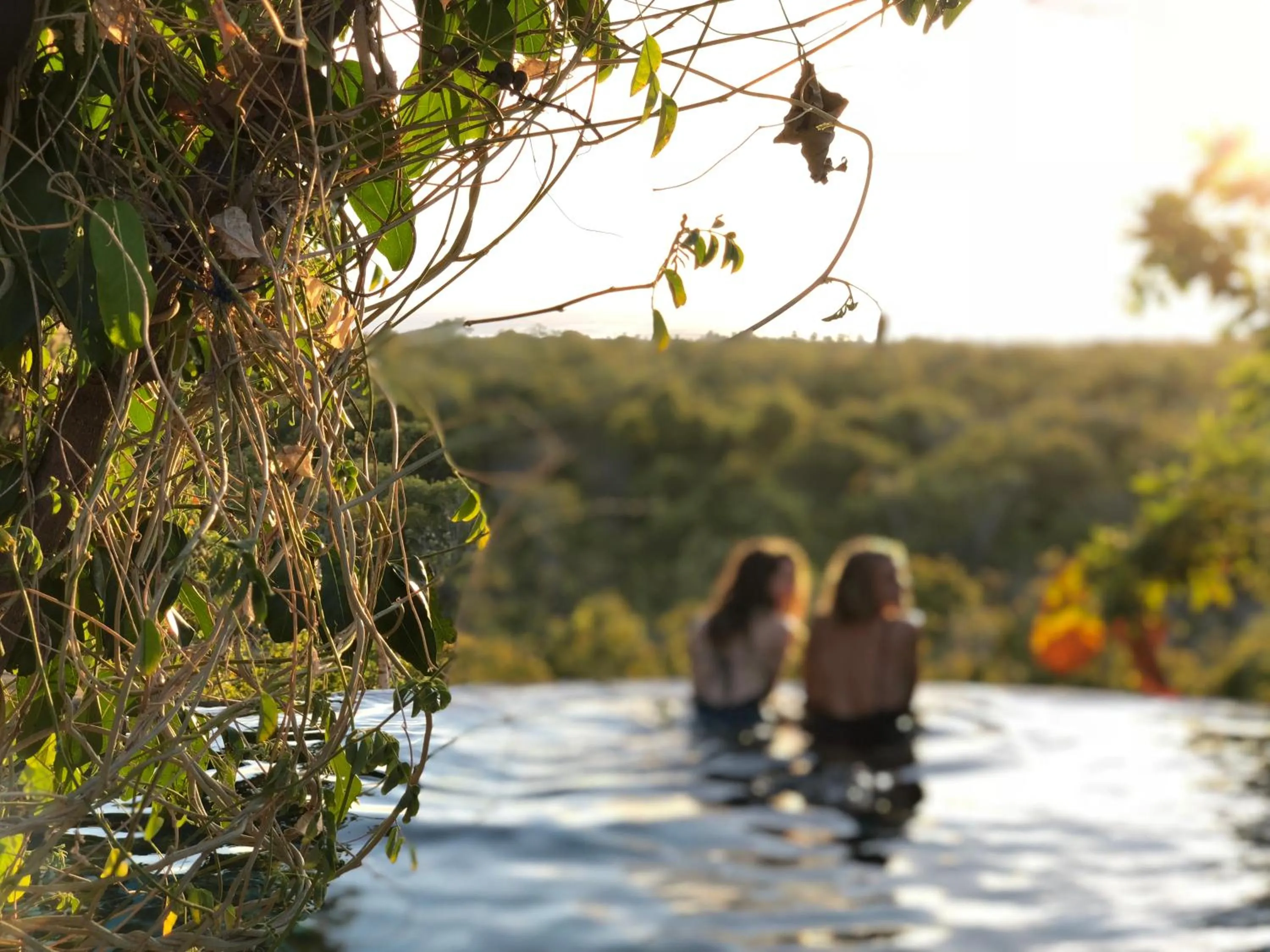 Swimming pool in Utopia Rote Lodge