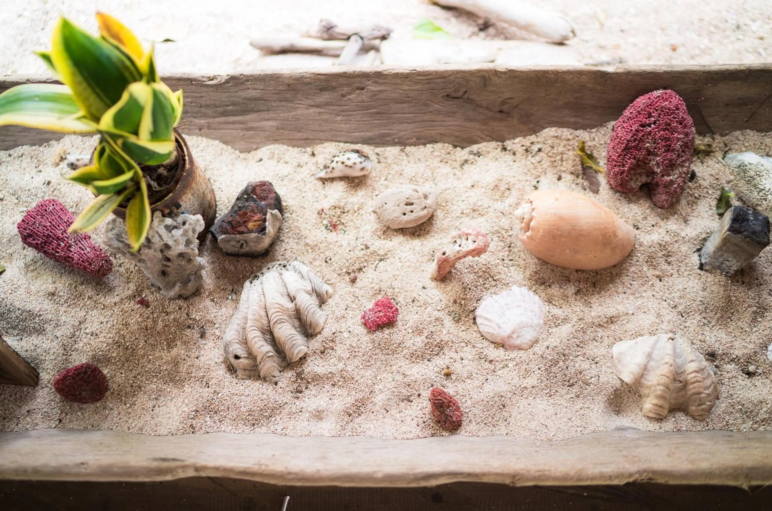 Decorative detail in Utopia Rote Lodge