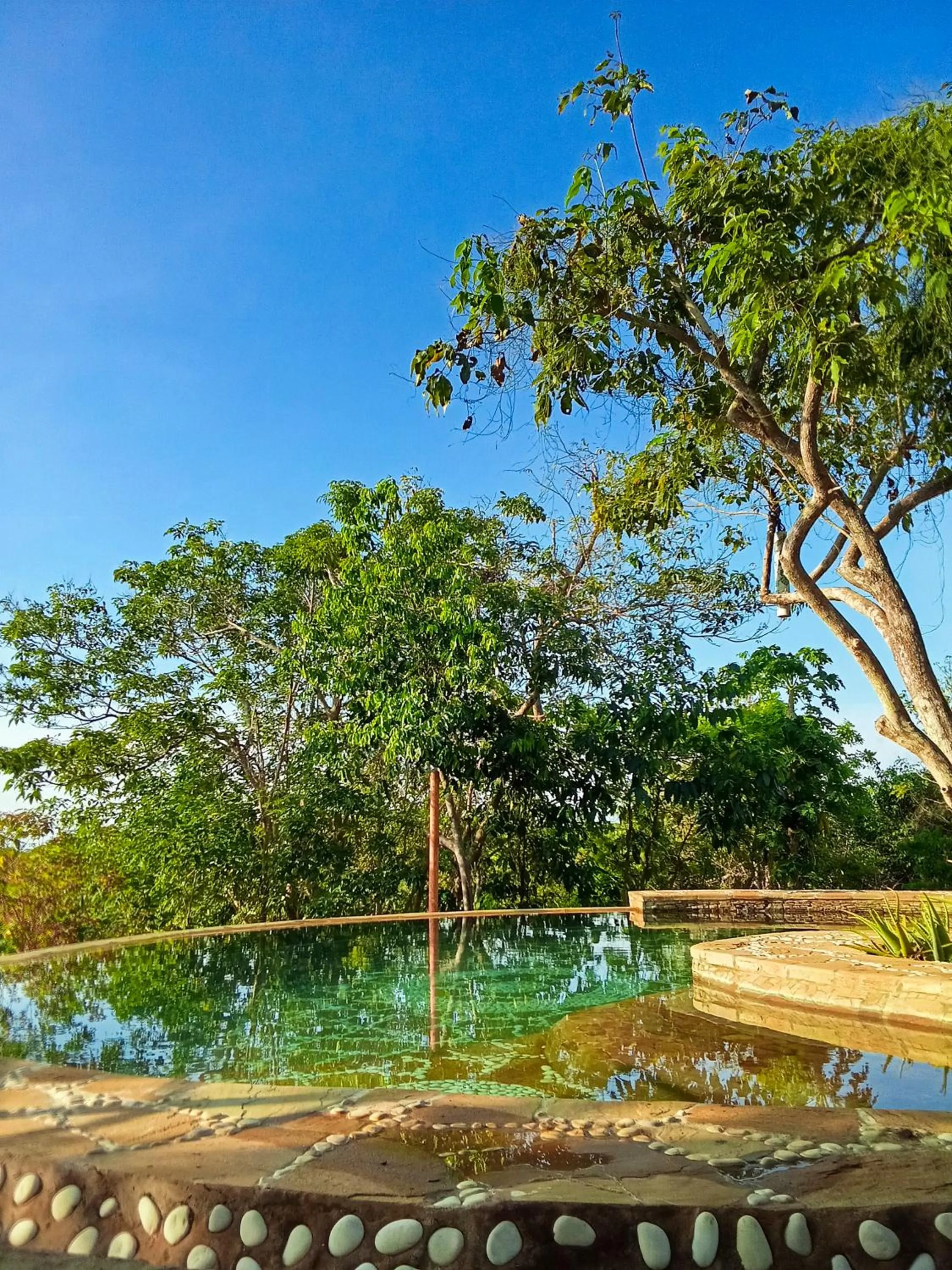 Swimming pool in Utopia Rote Lodge