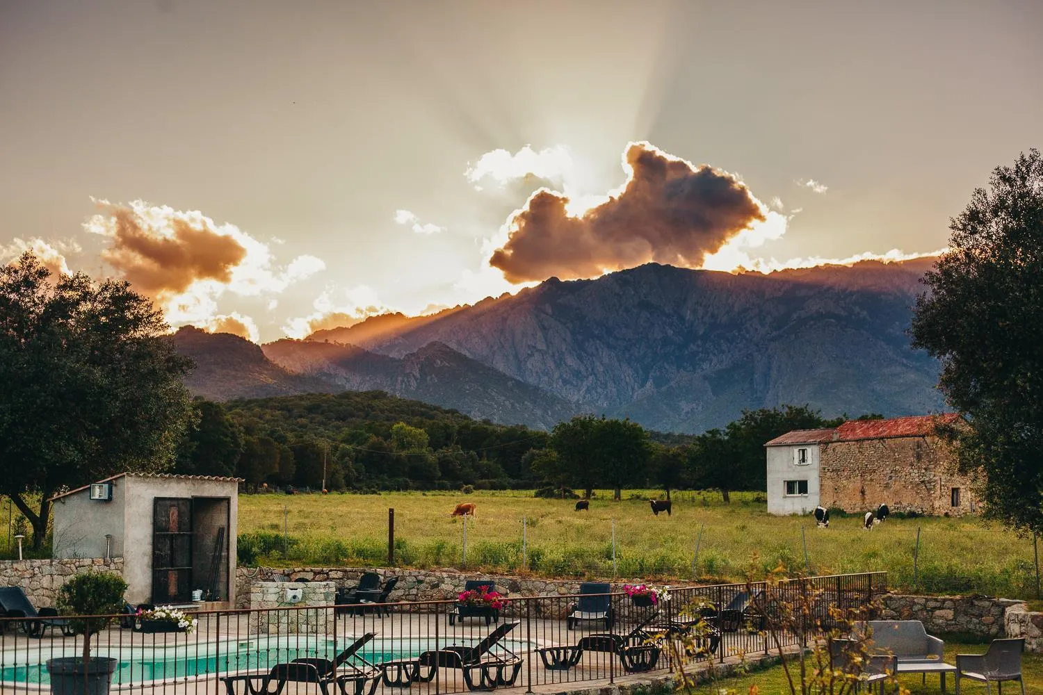 Garden view in B&B A Chjusellina