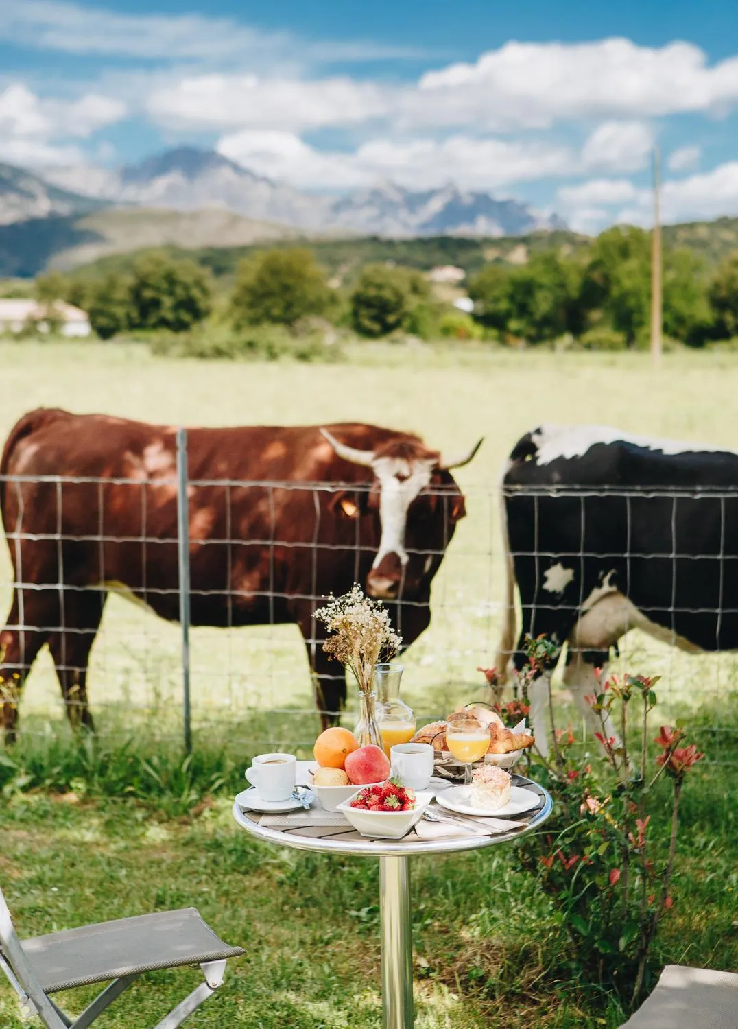 Garden view in B&B A Chjusellina
