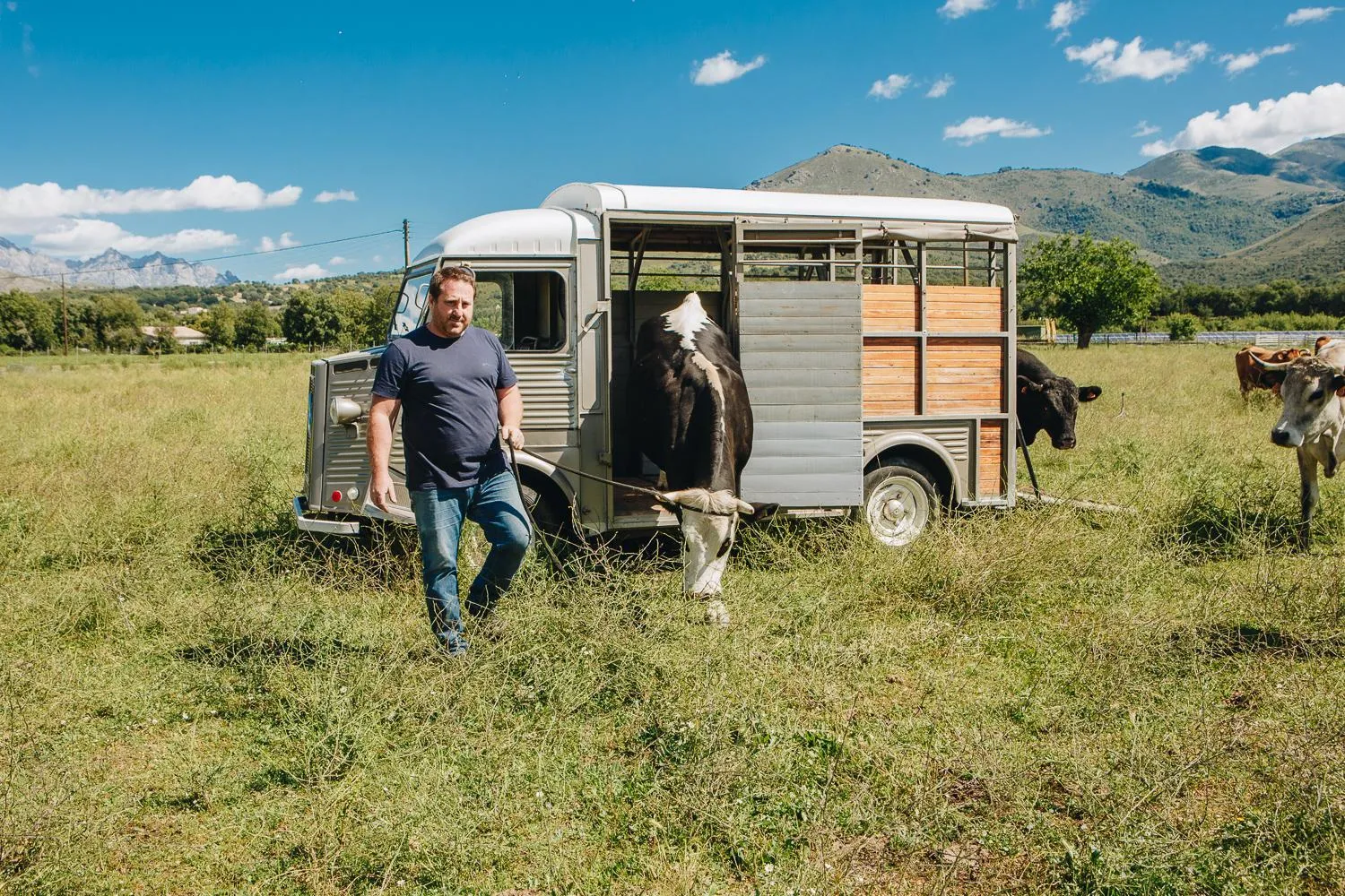Natural landscape in B&B A Chjusellina