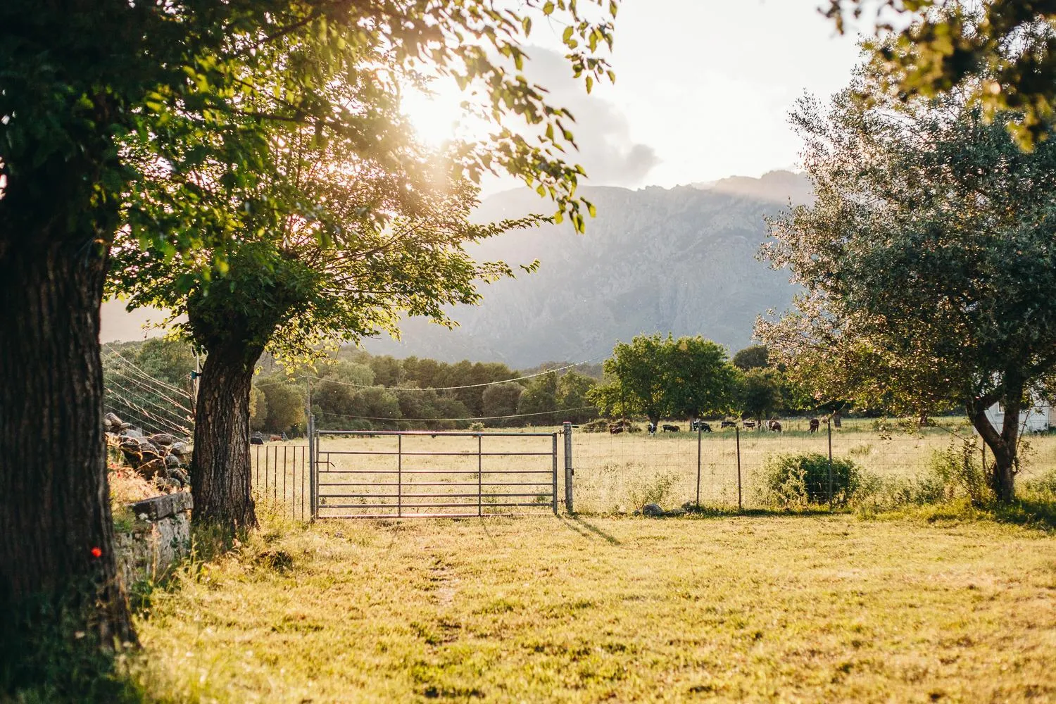 Natural landscape in B&B A Chjusellina