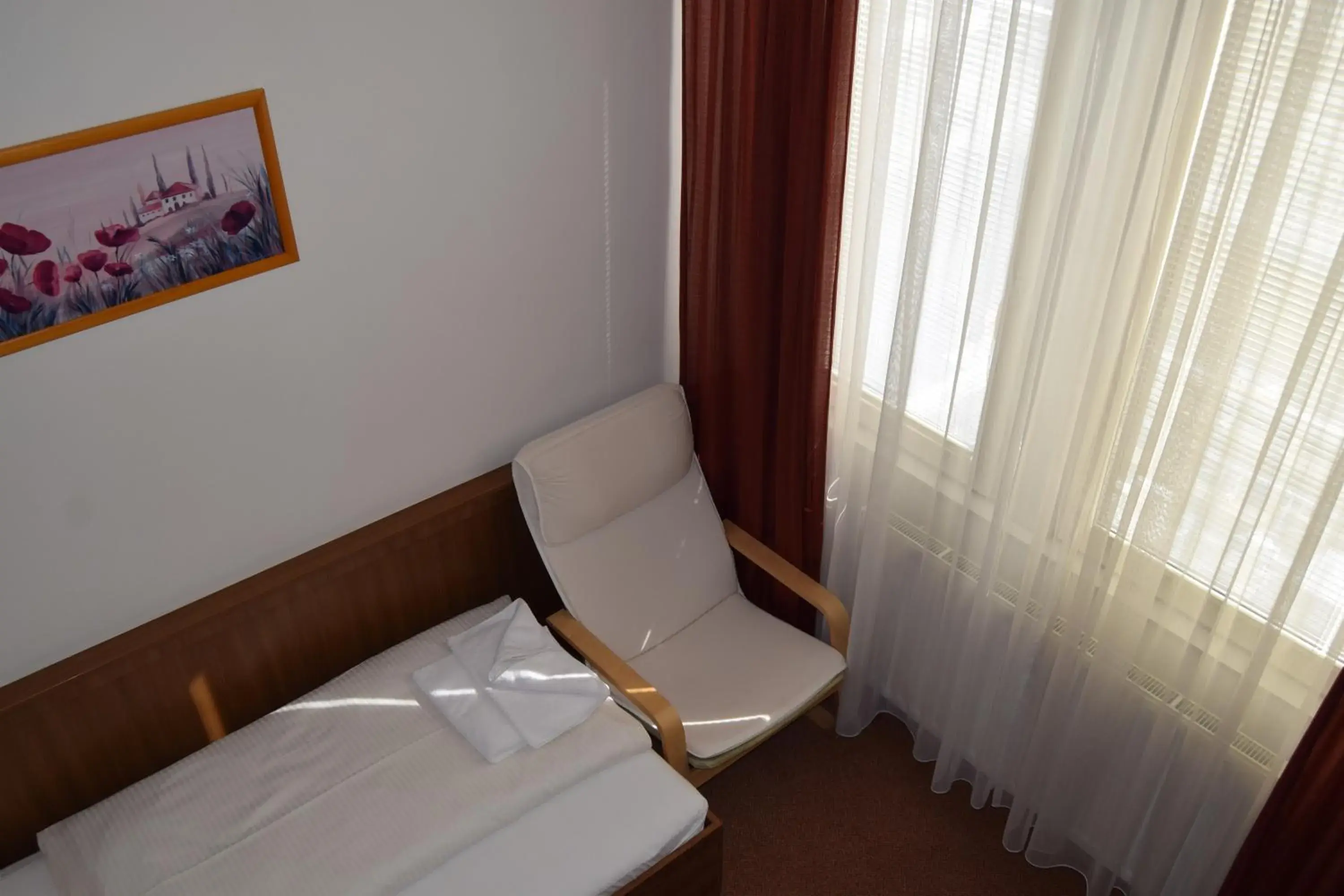 Single Room - single occupancy in Hotel Vsacan Single Room - single occupancy in Hotel Vsacan