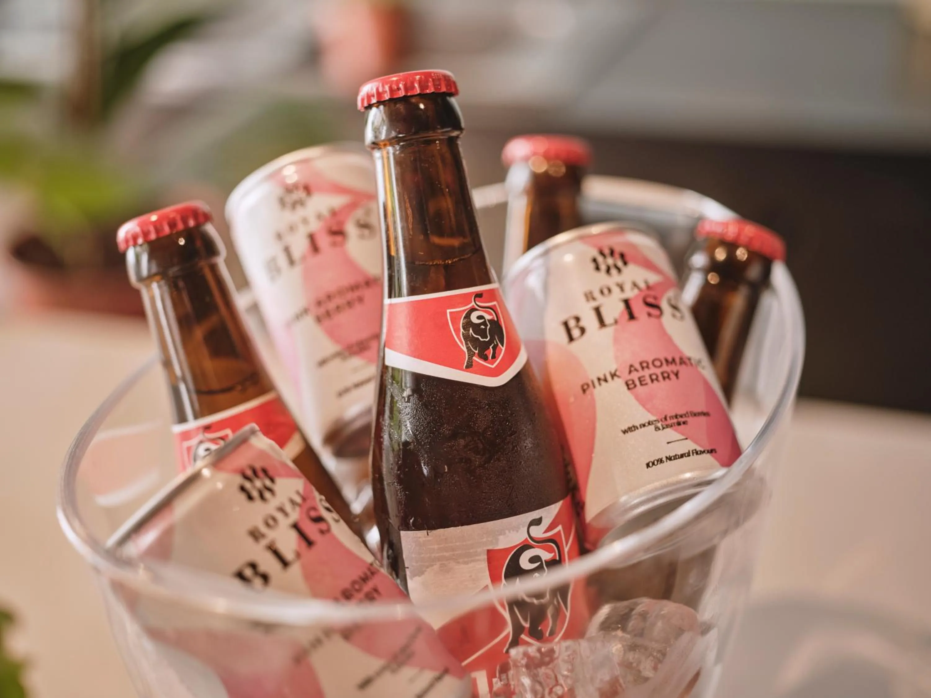 Drinks in BANKS Antwerp