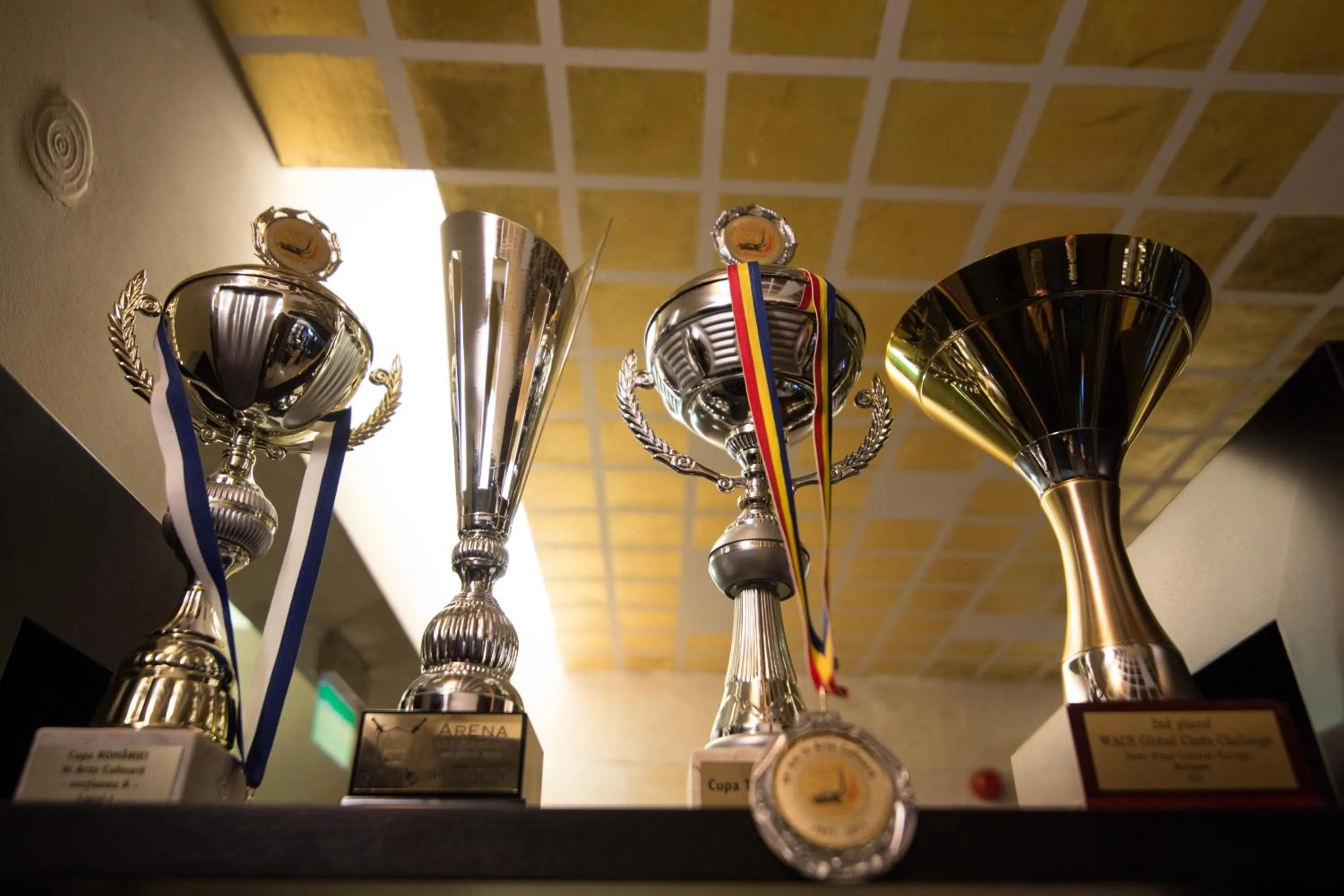 Certificate/Award in Grand Hotel Belvedere