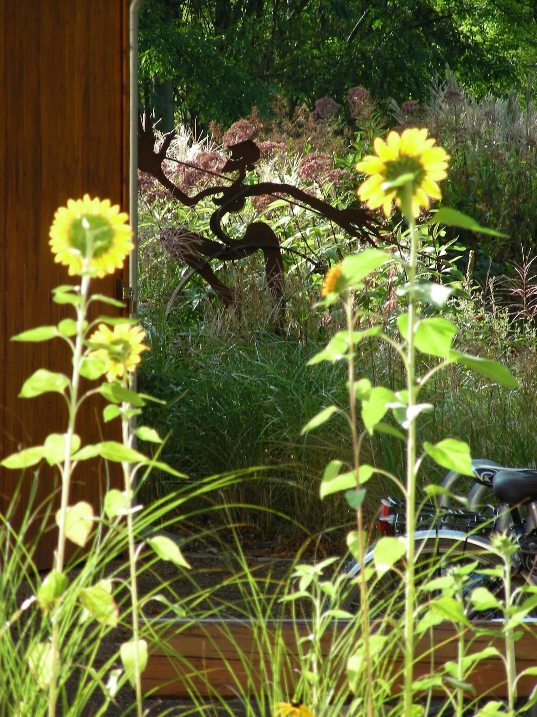 Garden view in Bio Hotel Kipperquelle