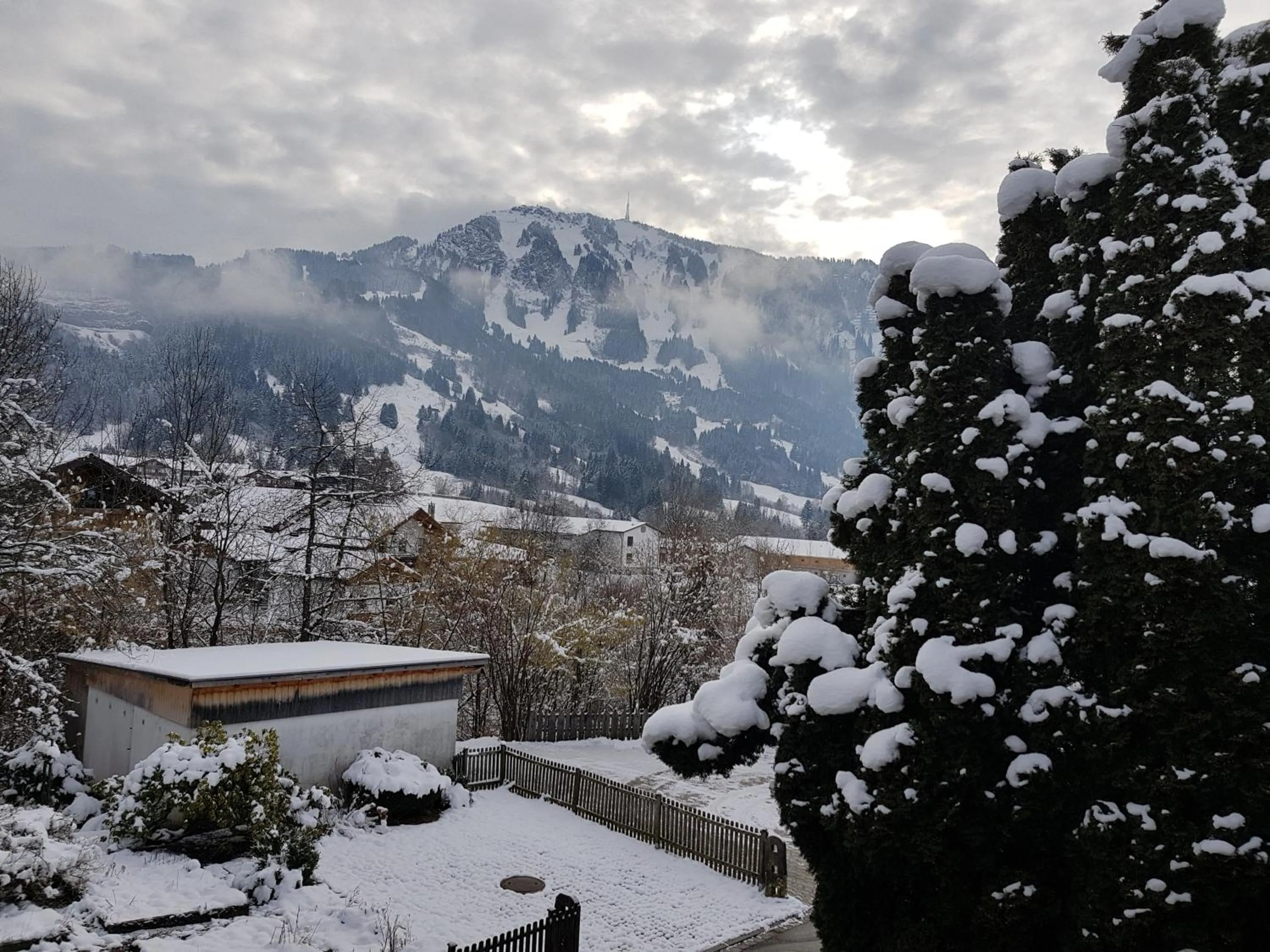 Natural landscape in Pension – Restaurant Jägerwinkl