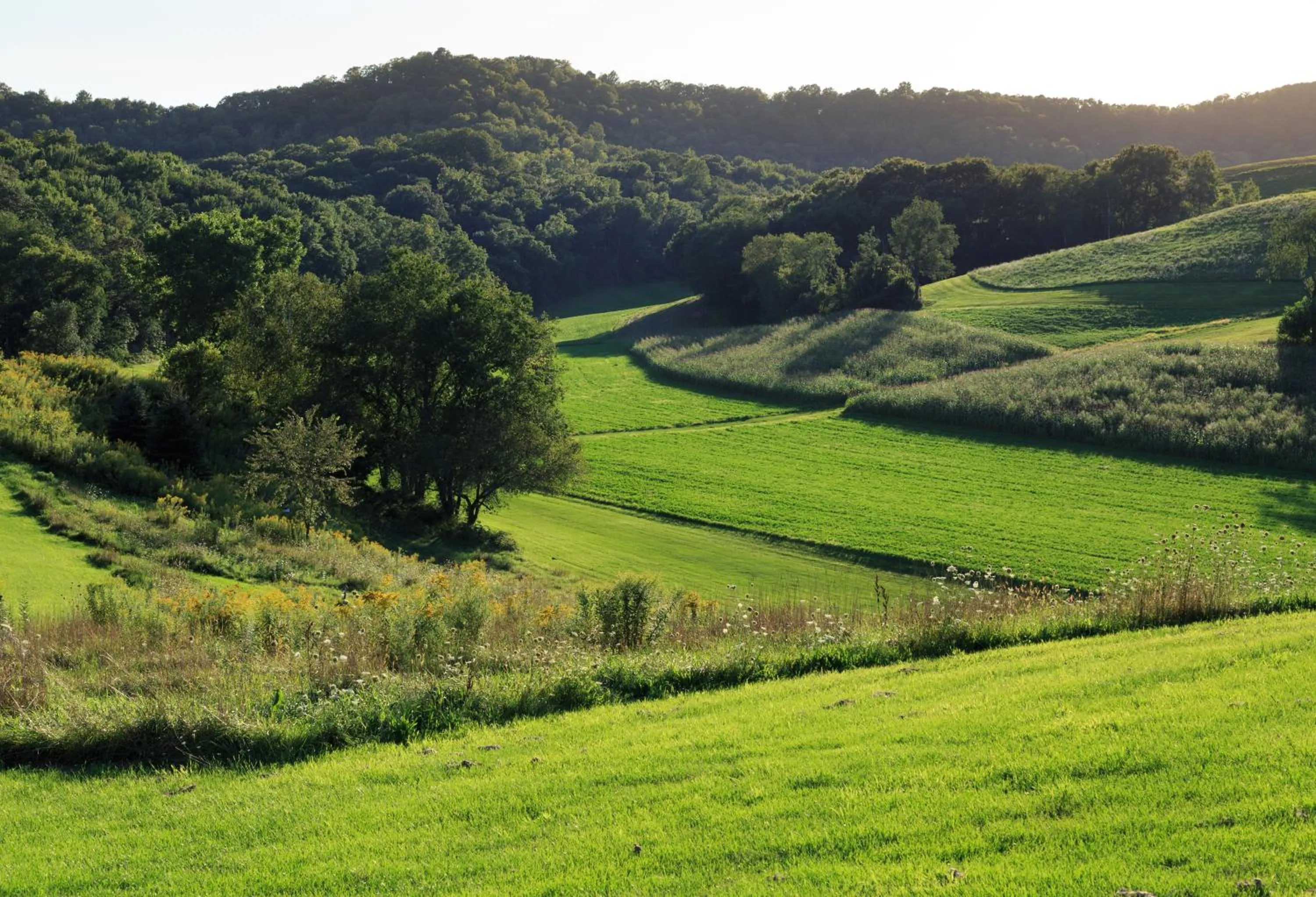 Natural landscape in Justin Trails Resort