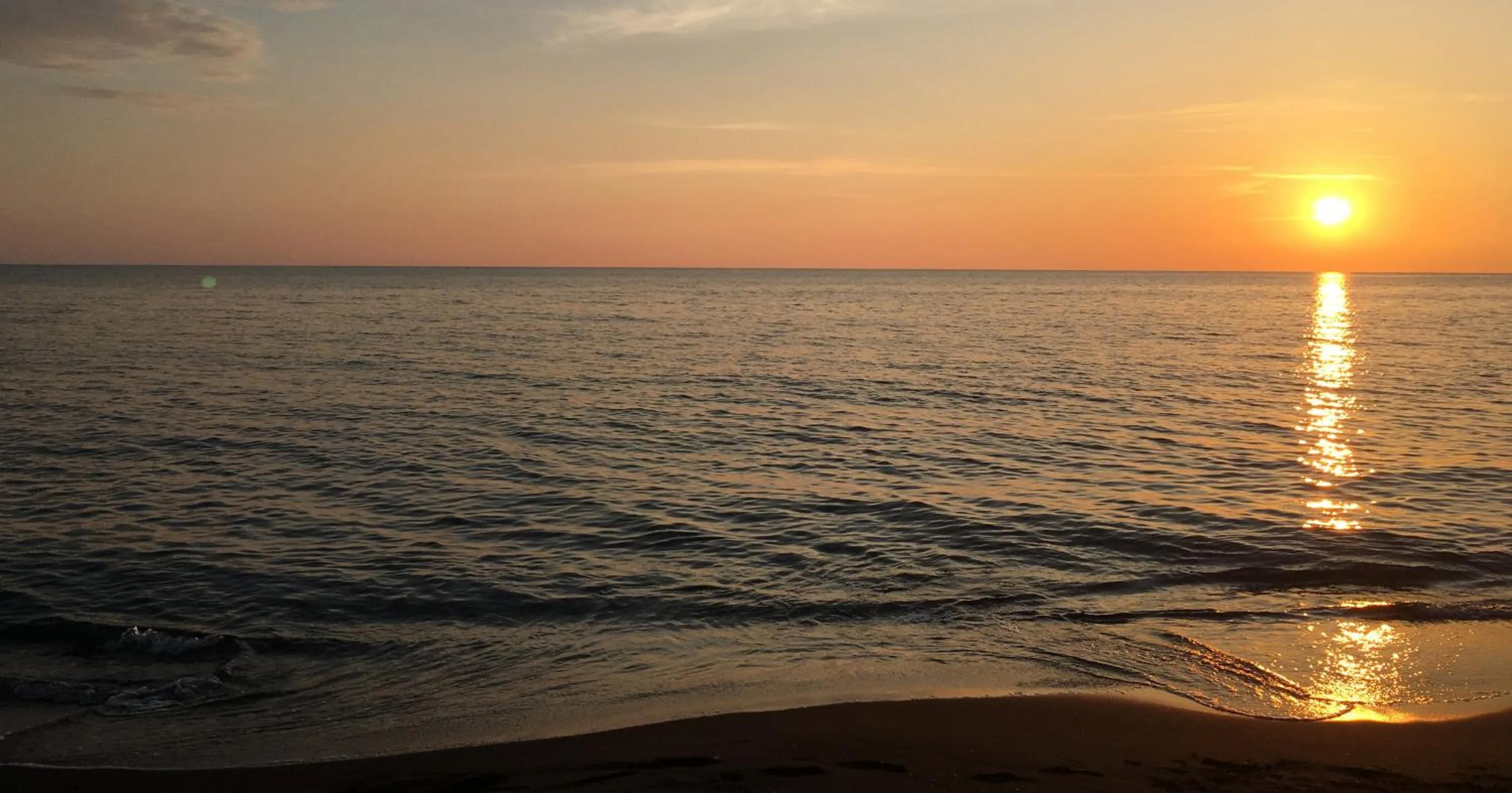Beach in Simple Pleasures Shekvetili
