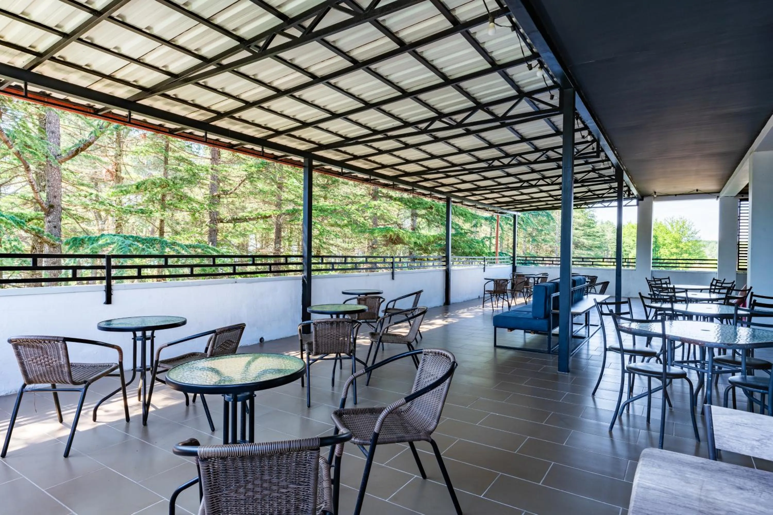 Lounge or bar in Simple Pleasures Shekvetili