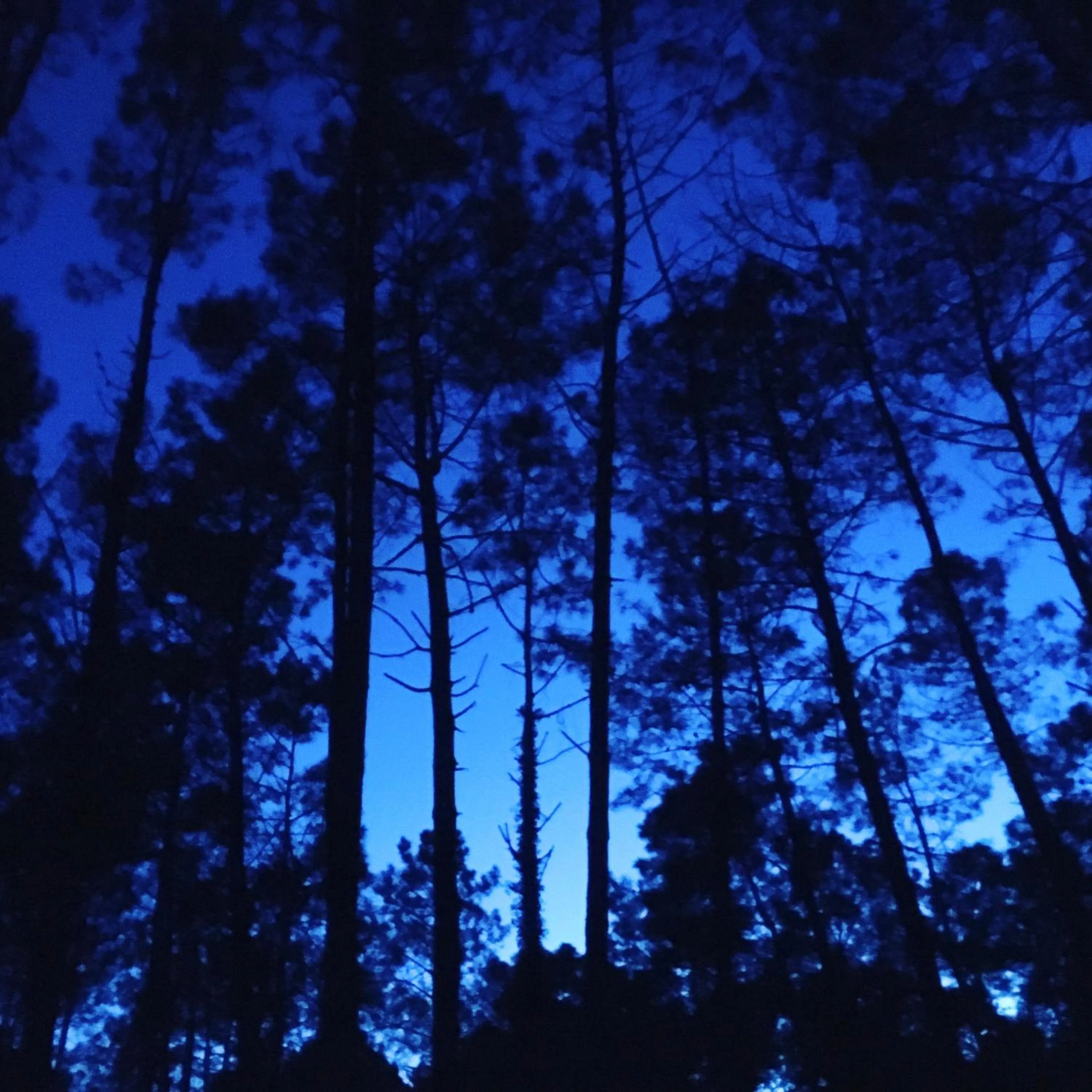 Natural landscape in Simple Pleasures Shekvetili