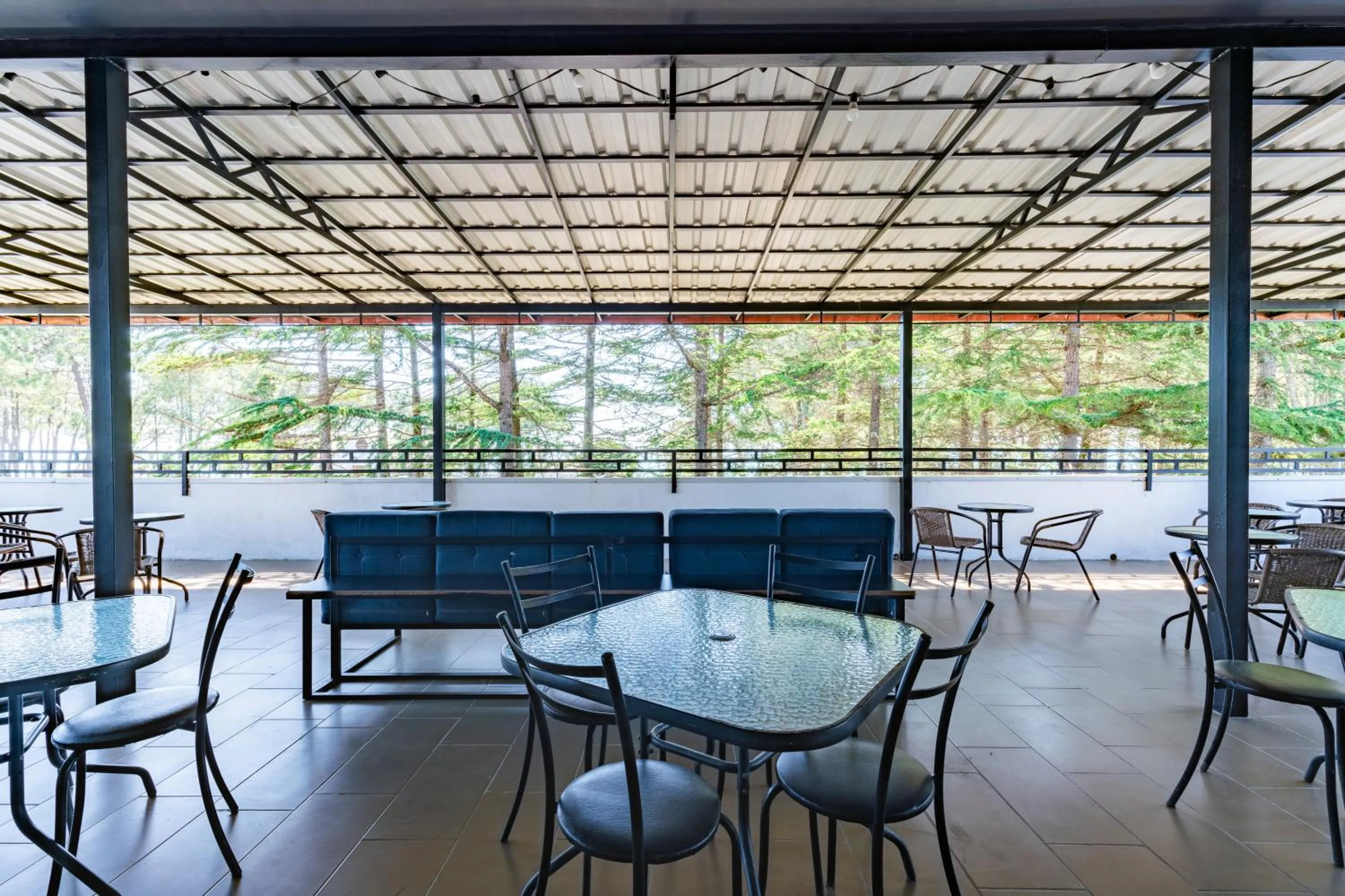 Lounge or bar in Simple Pleasures Shekvetili