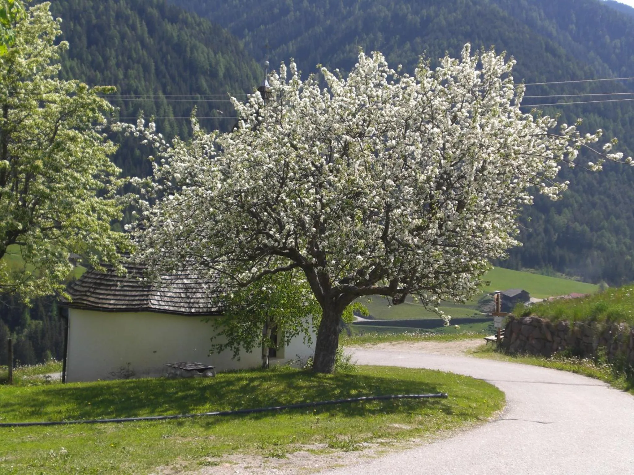 Other in Hotel Gsoihof