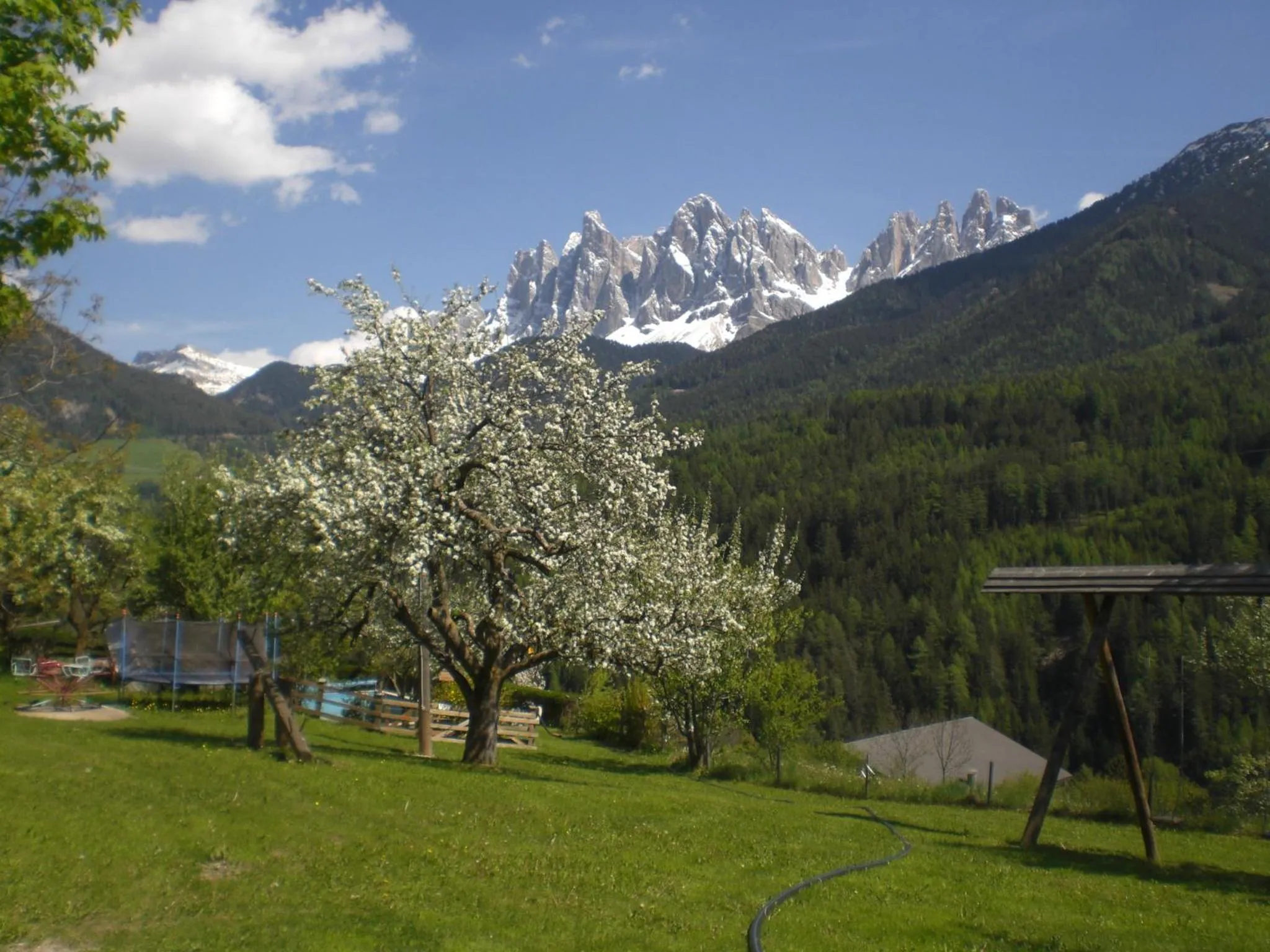 Garden in Hotel Gsoihof