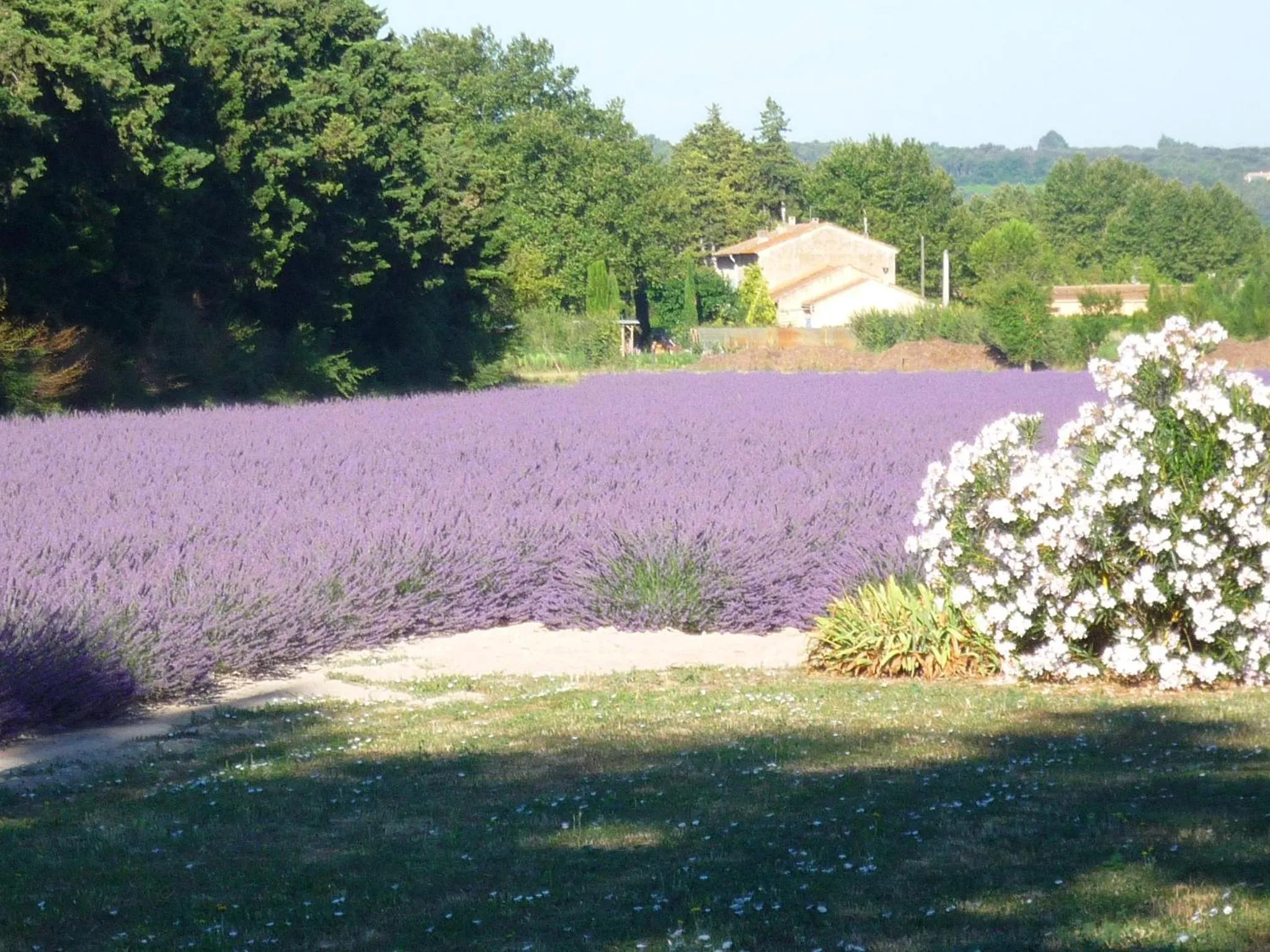 Natural landscape in L'atelier des Coudelières