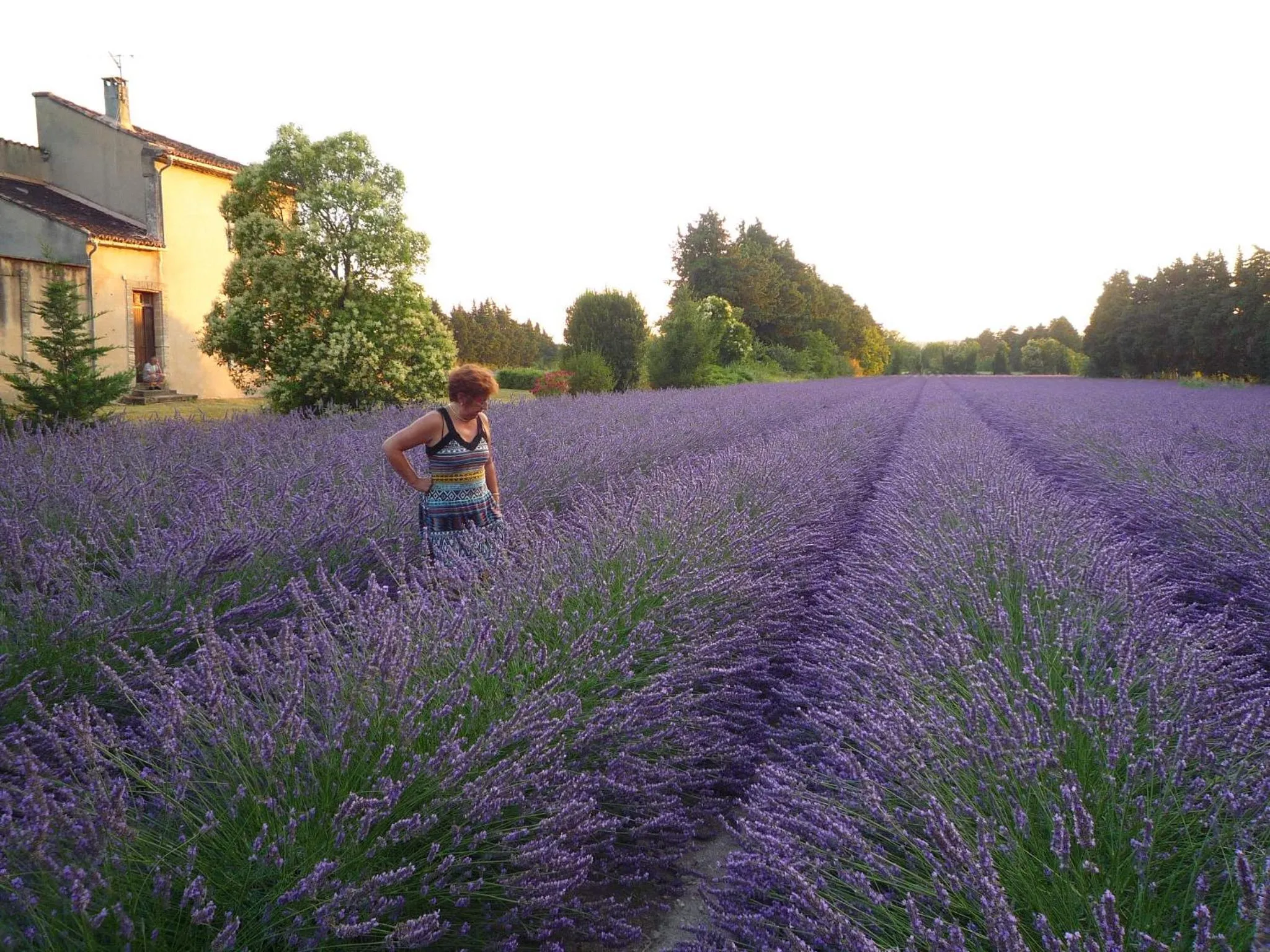 Nearby landmark in L'atelier des Coudelières