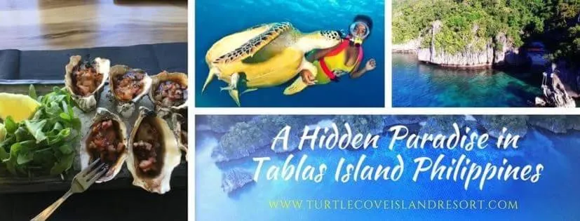 Logo/Certificate/Sign in Turtle Cove Exclusive Island Resort