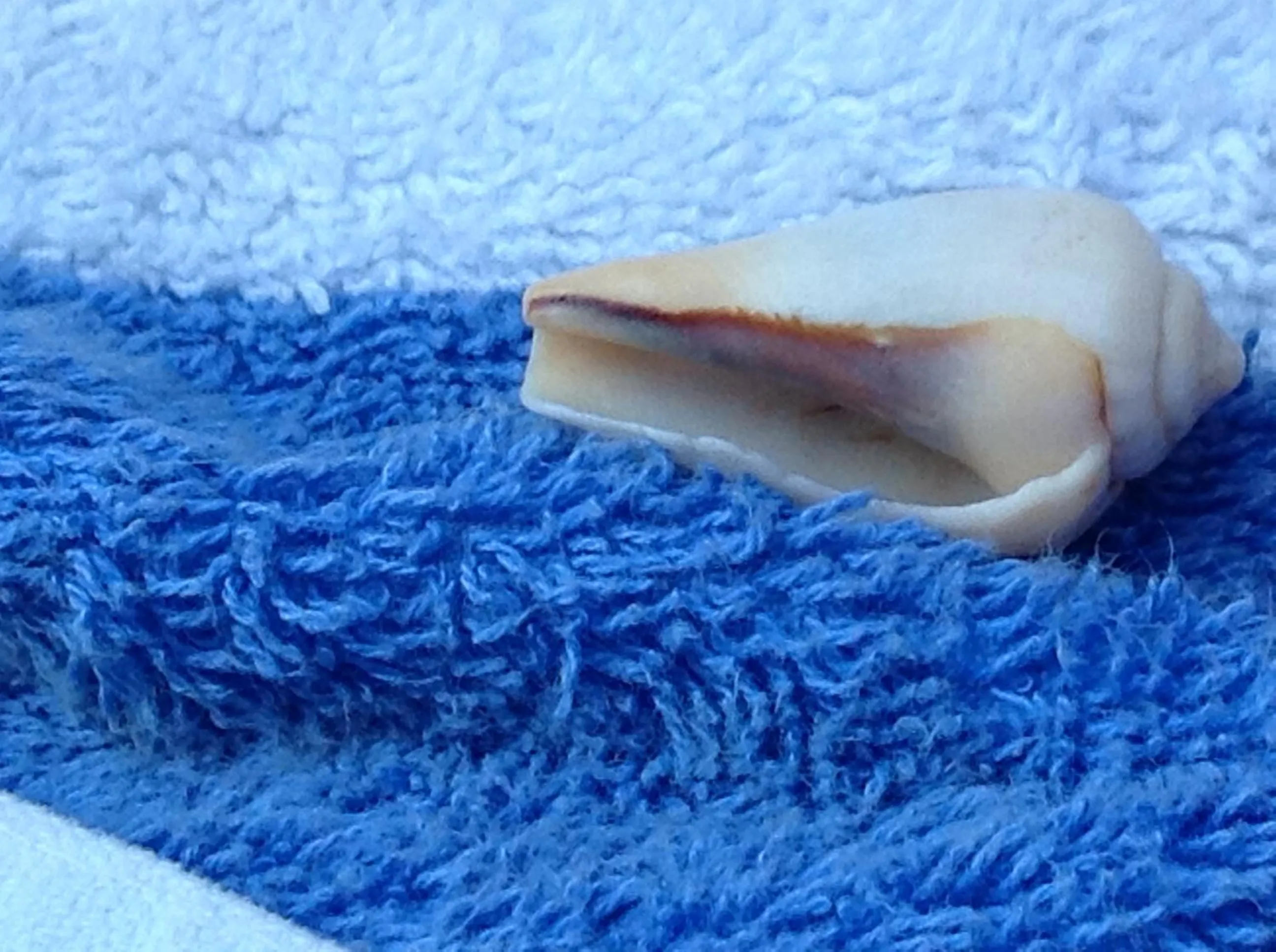 Activities in Turtle Cove Exclusive Island Resort