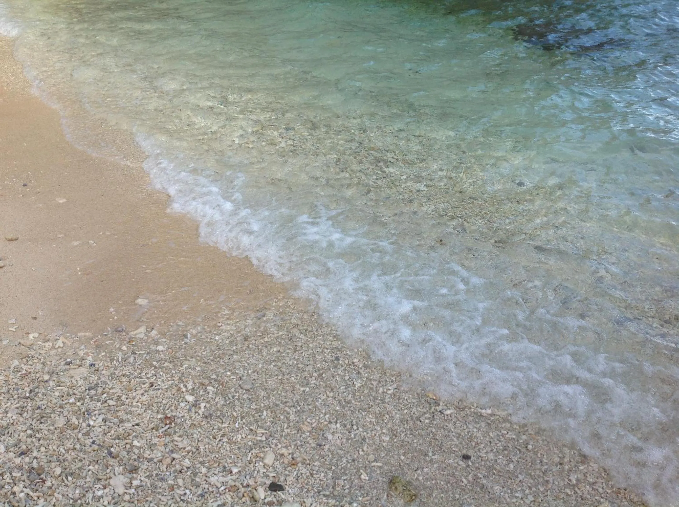 Turtle Cove Exclusive Island Resort