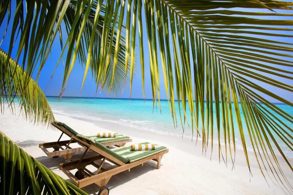 Turtle Cove Exclusive Island Resort