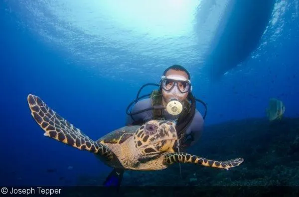 Turtle Cove Exclusive Island Resort