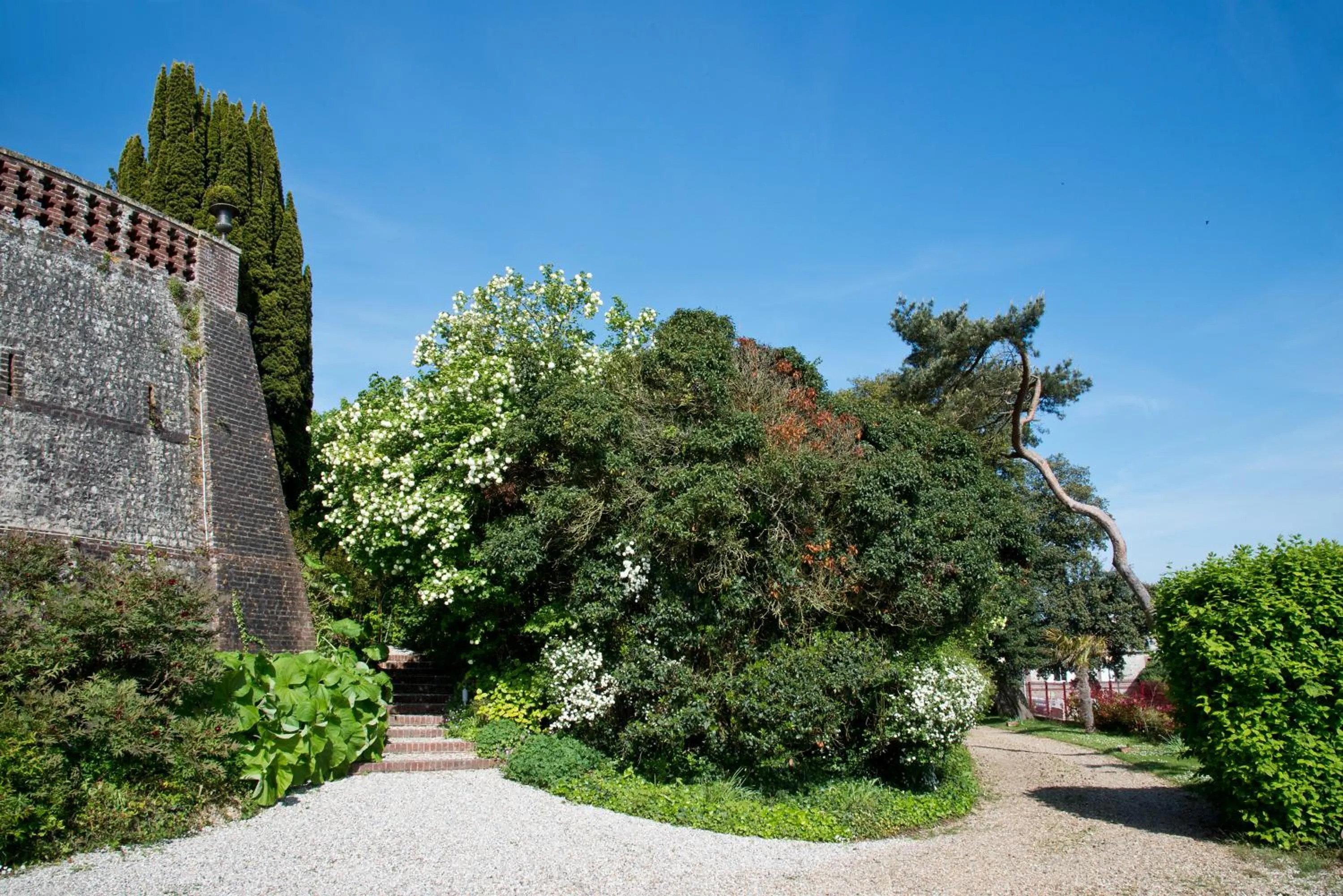 Garden in Castel De La Terrasse