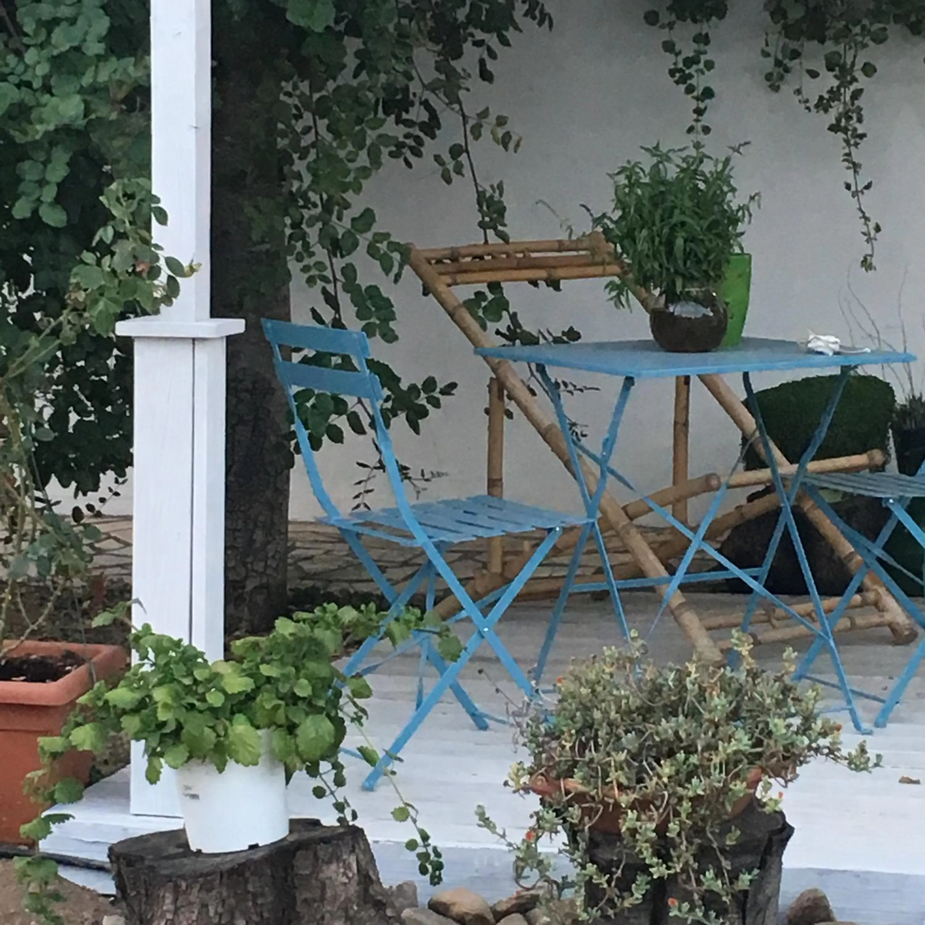 AGRIB&B Il Pomo d'oro