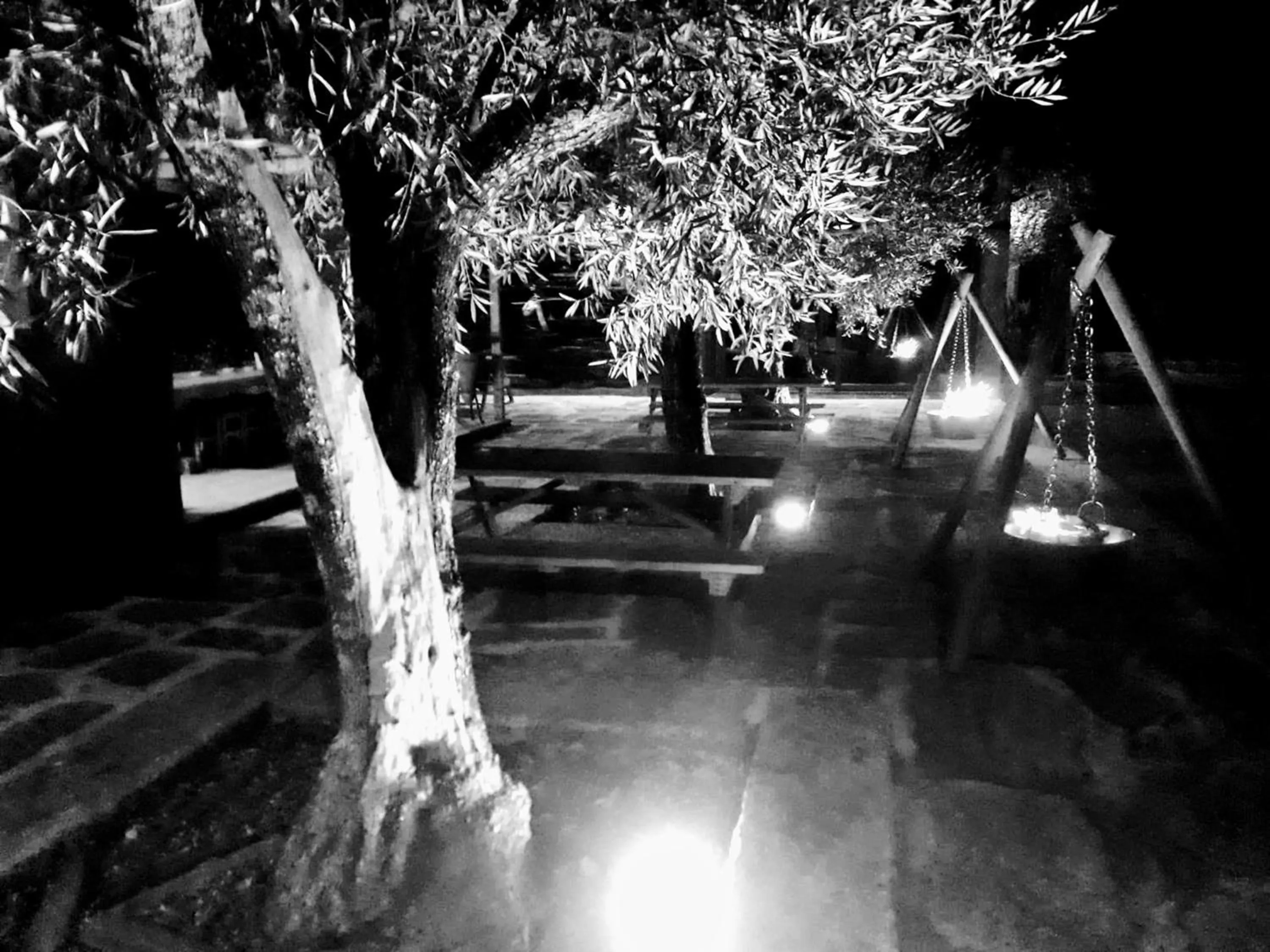 Garden in Casa Do Prado Guesthouse