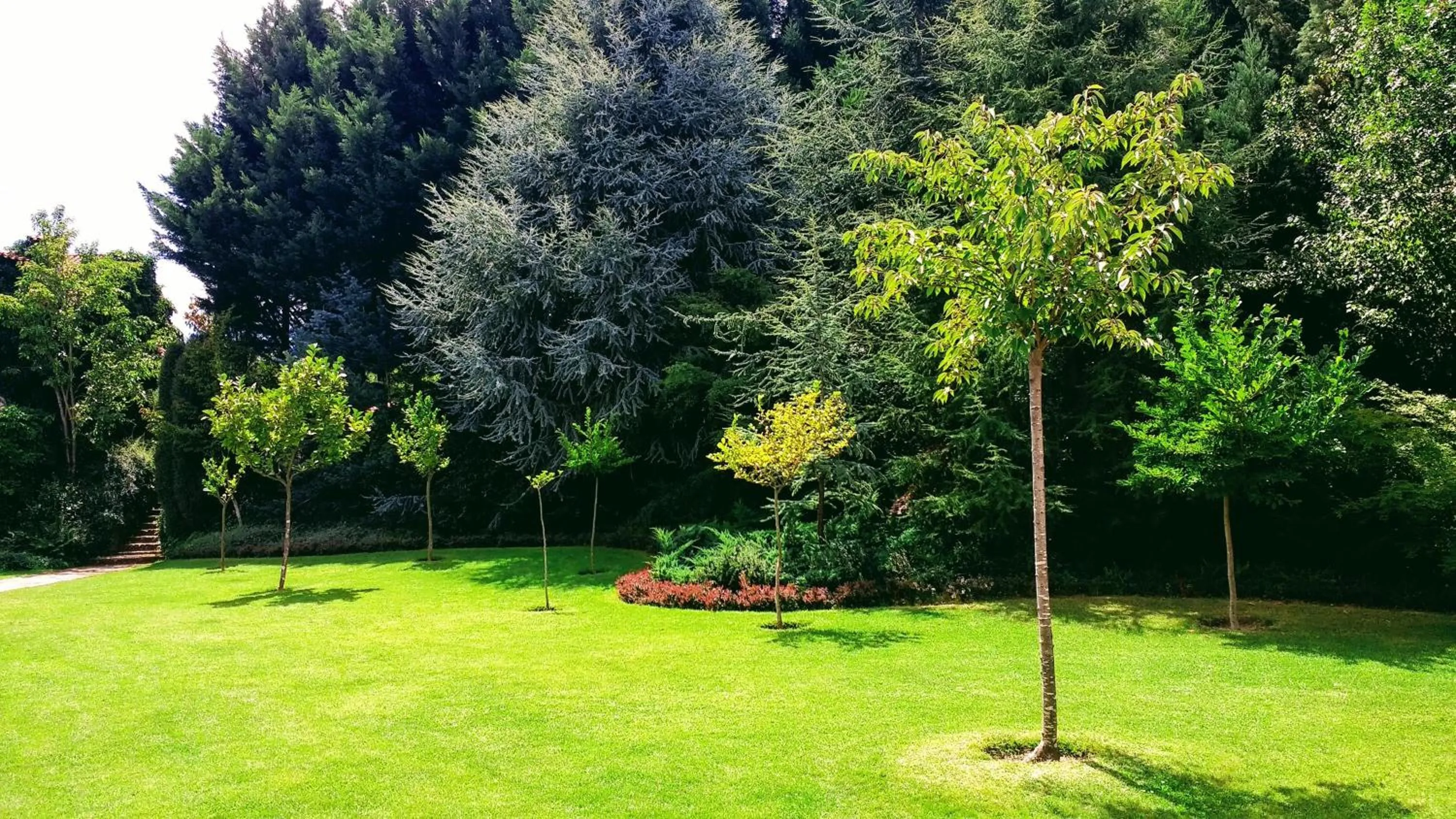 Garden in Casa Do Prado Guesthouse