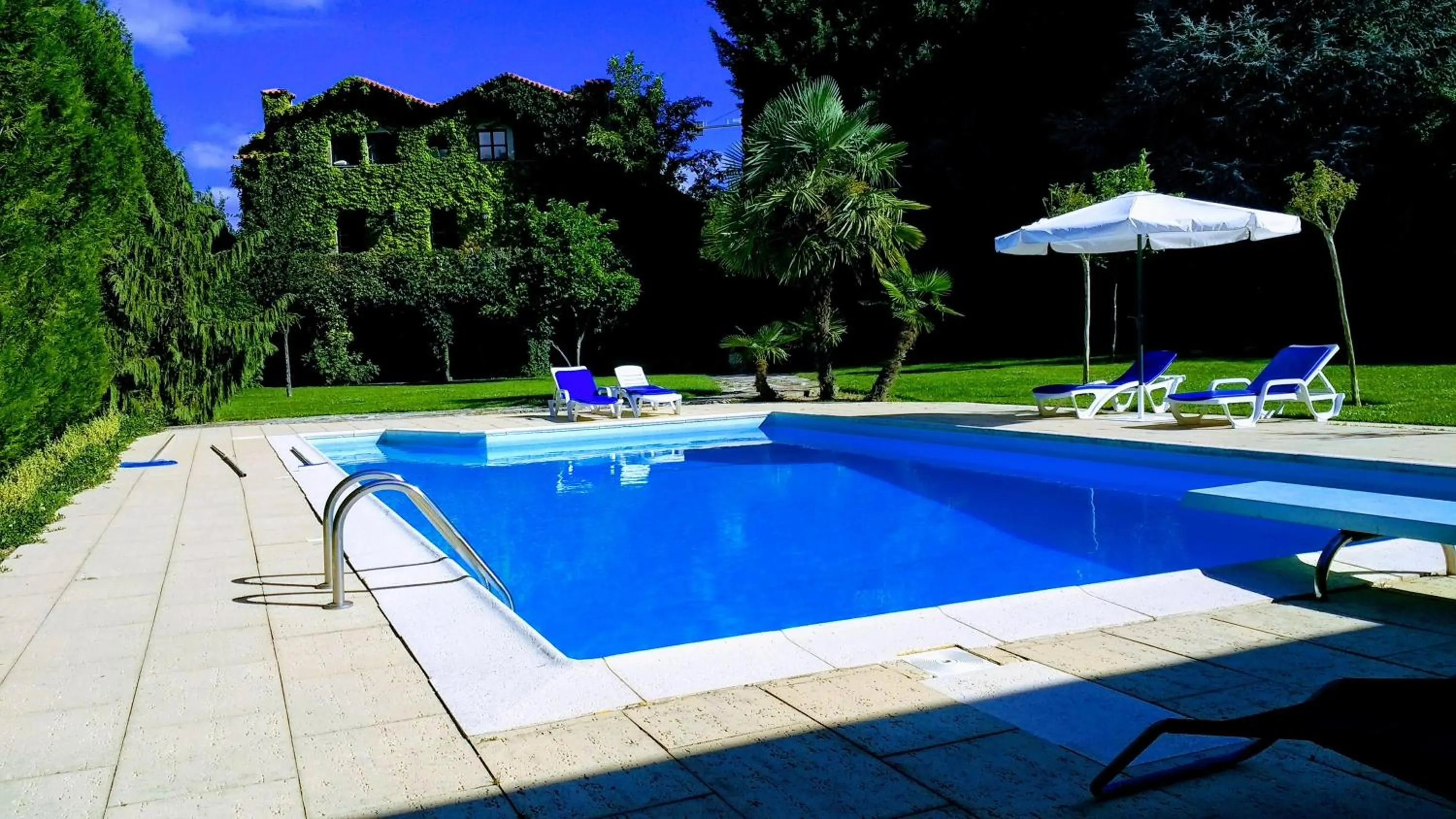 Garden view in Casa Do Prado Guesthouse