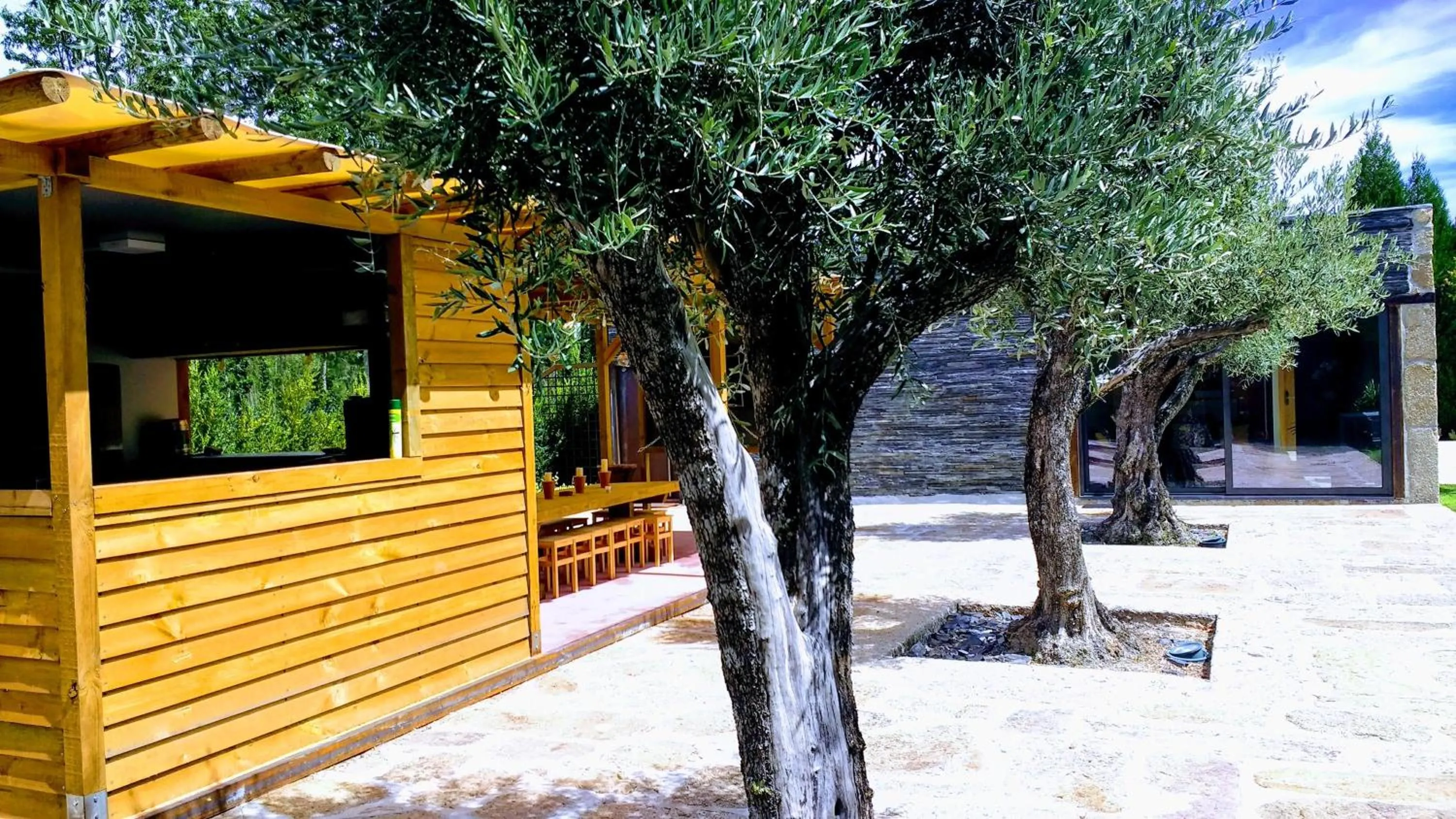 Lounge or bar in Casa Do Prado Guesthouse