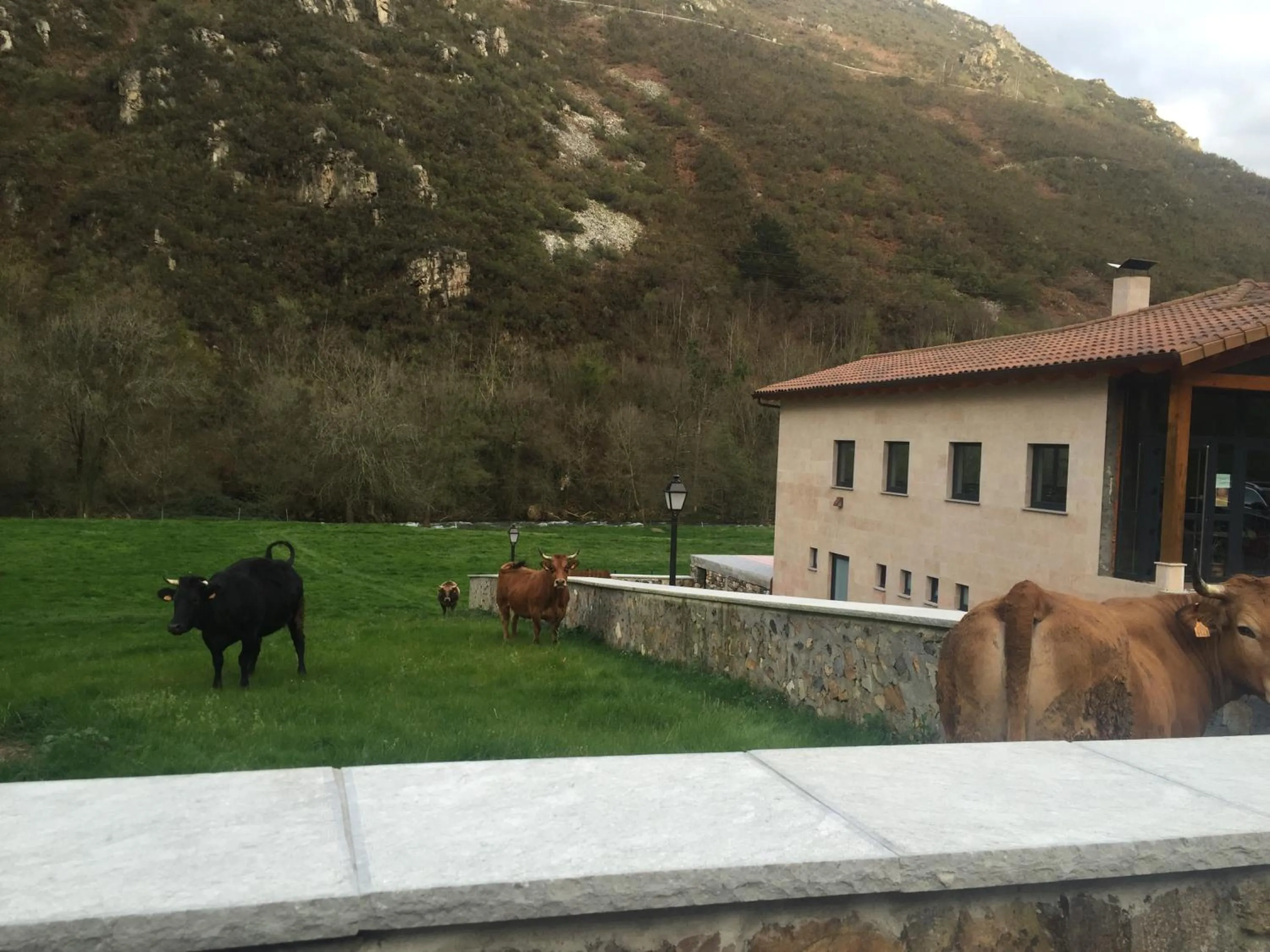 Mountain view in La Casona de Rey